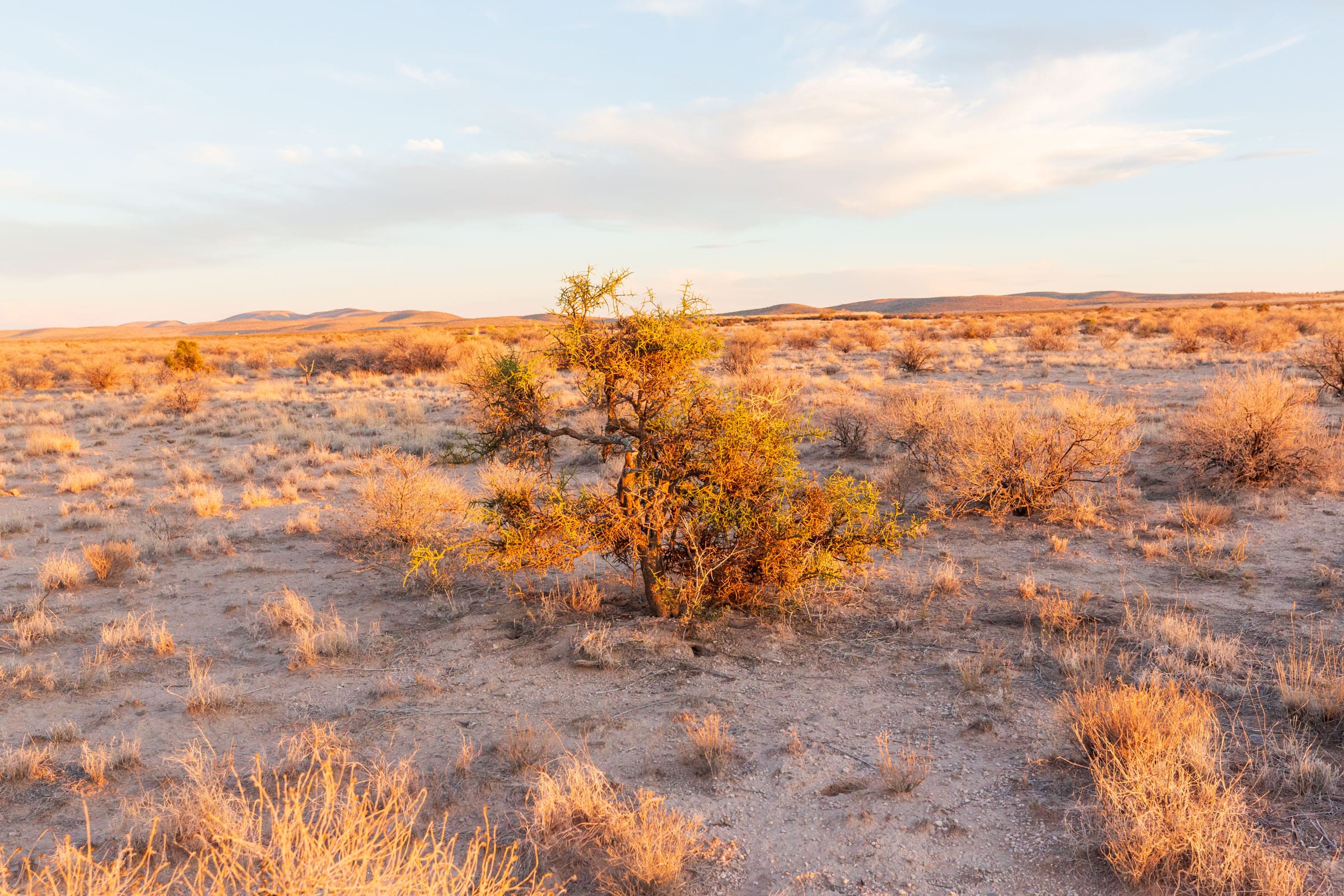 Sunrise Ranches Phase IV Tract 160 photo 10