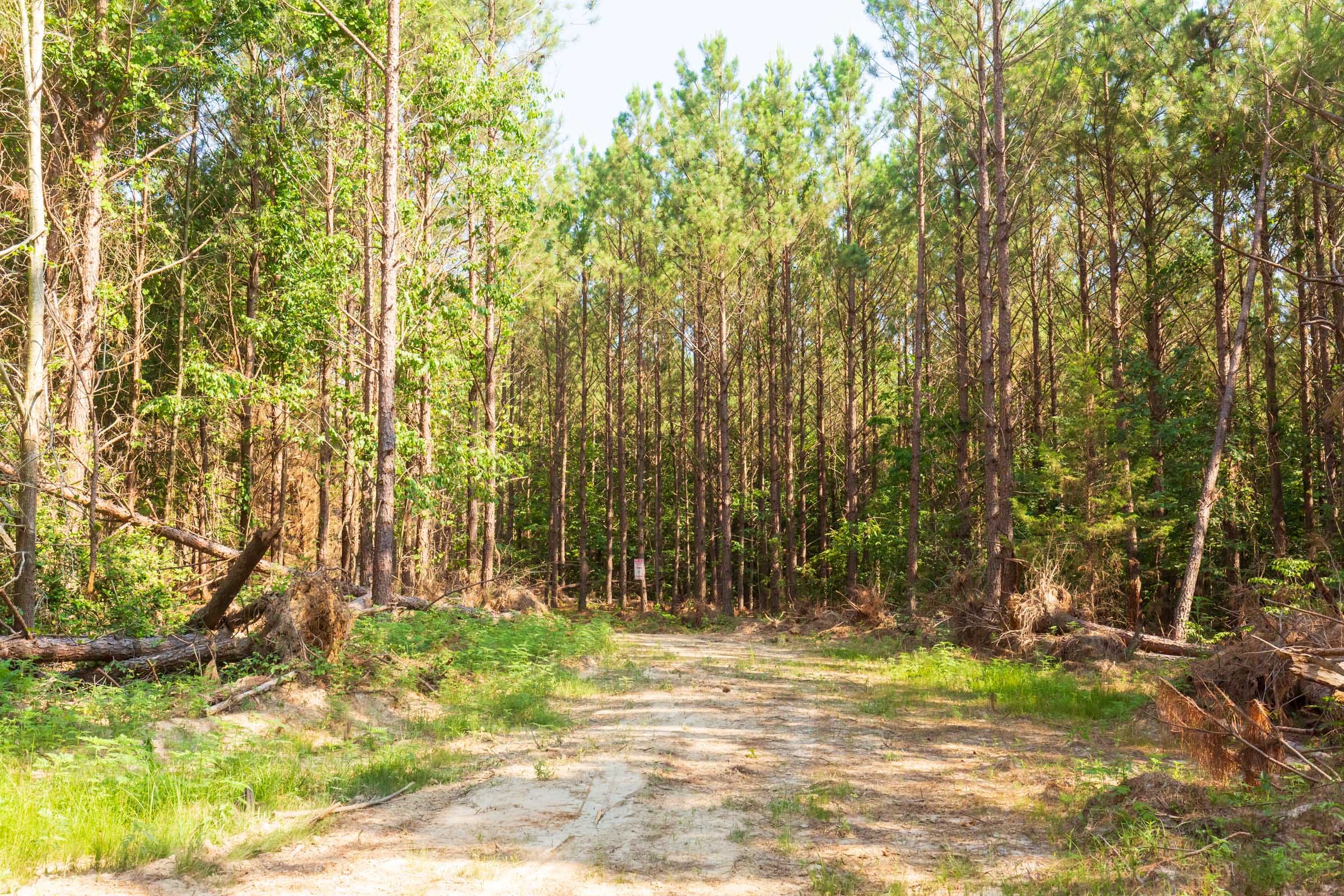 Whiskey Ridge Tract 88 photo 2