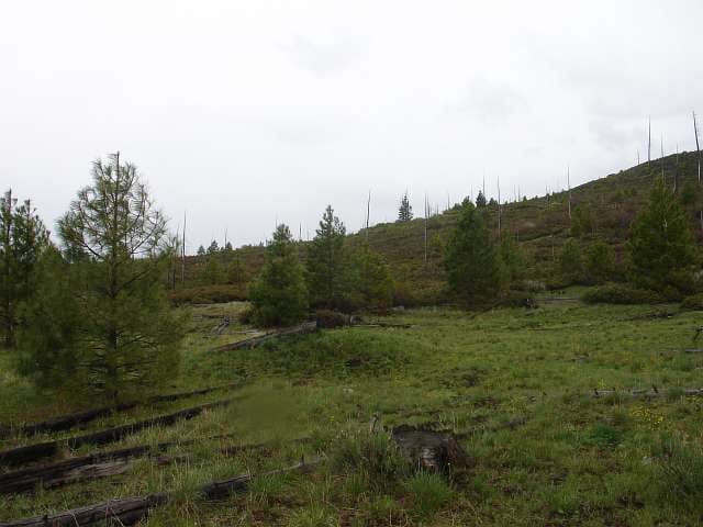 California Pines Tract 33 photo 6