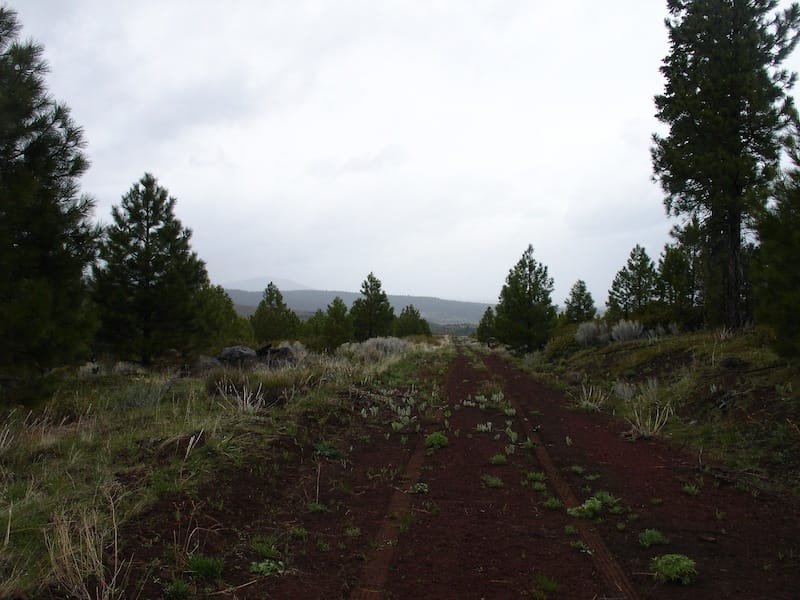 California Pines Tract 33 photo 8