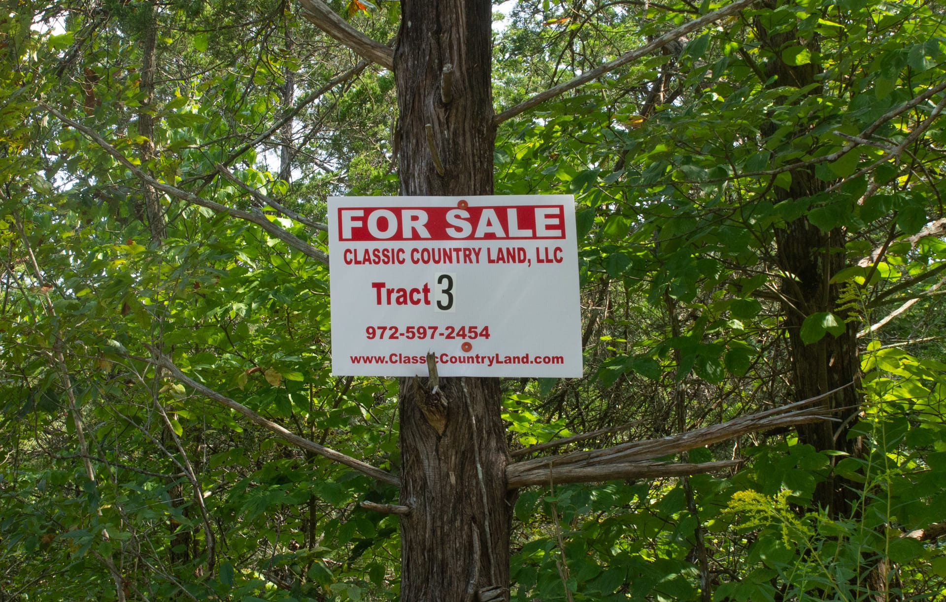 Bluegrass Ridge Tract 3 photo 1
