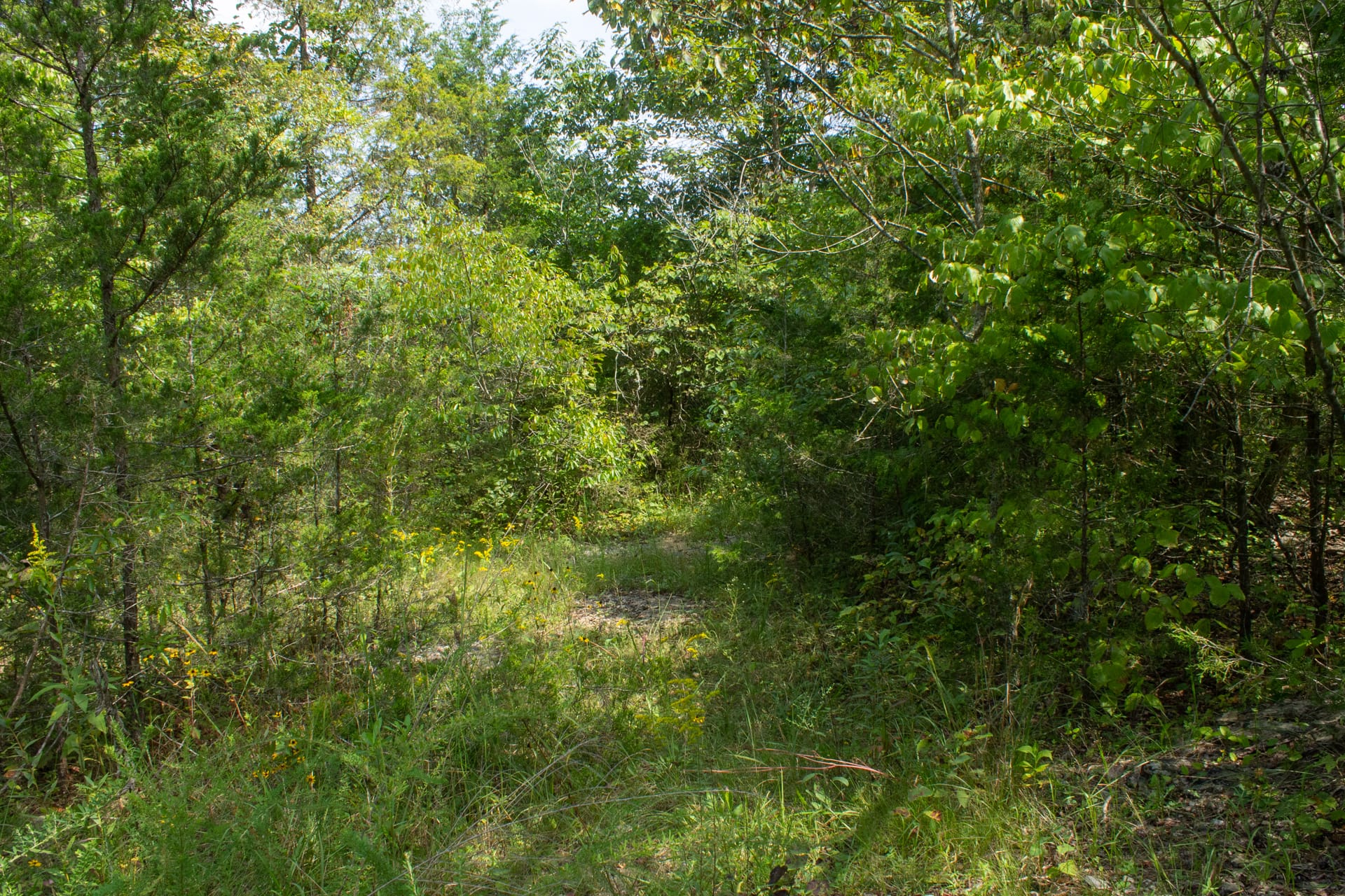 Bluegrass Ridge Tract 3 photo 5