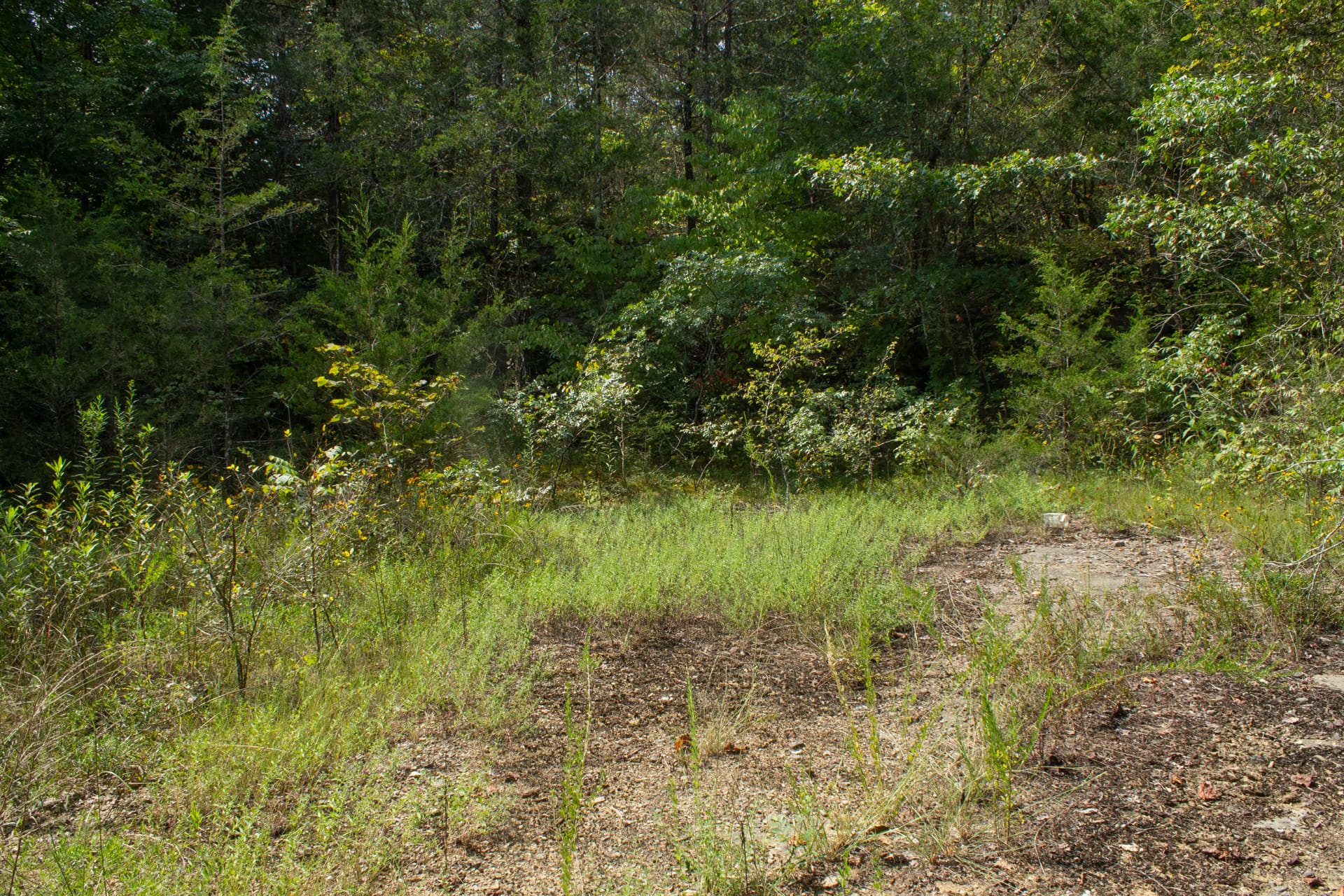 Bluegrass Ridge Tract 3 photo 10