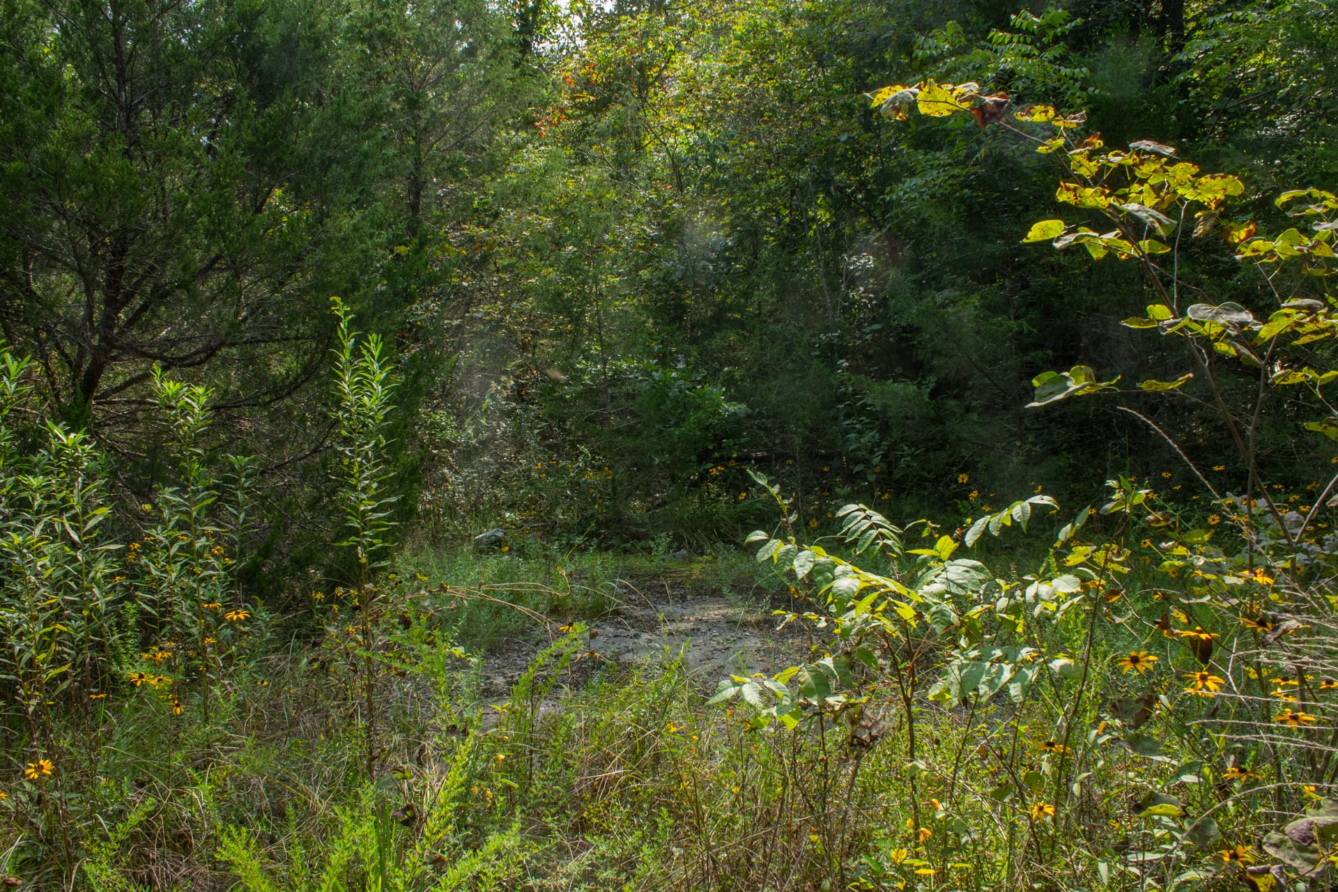 Bluegrass Ridge Tract 3 photo 11