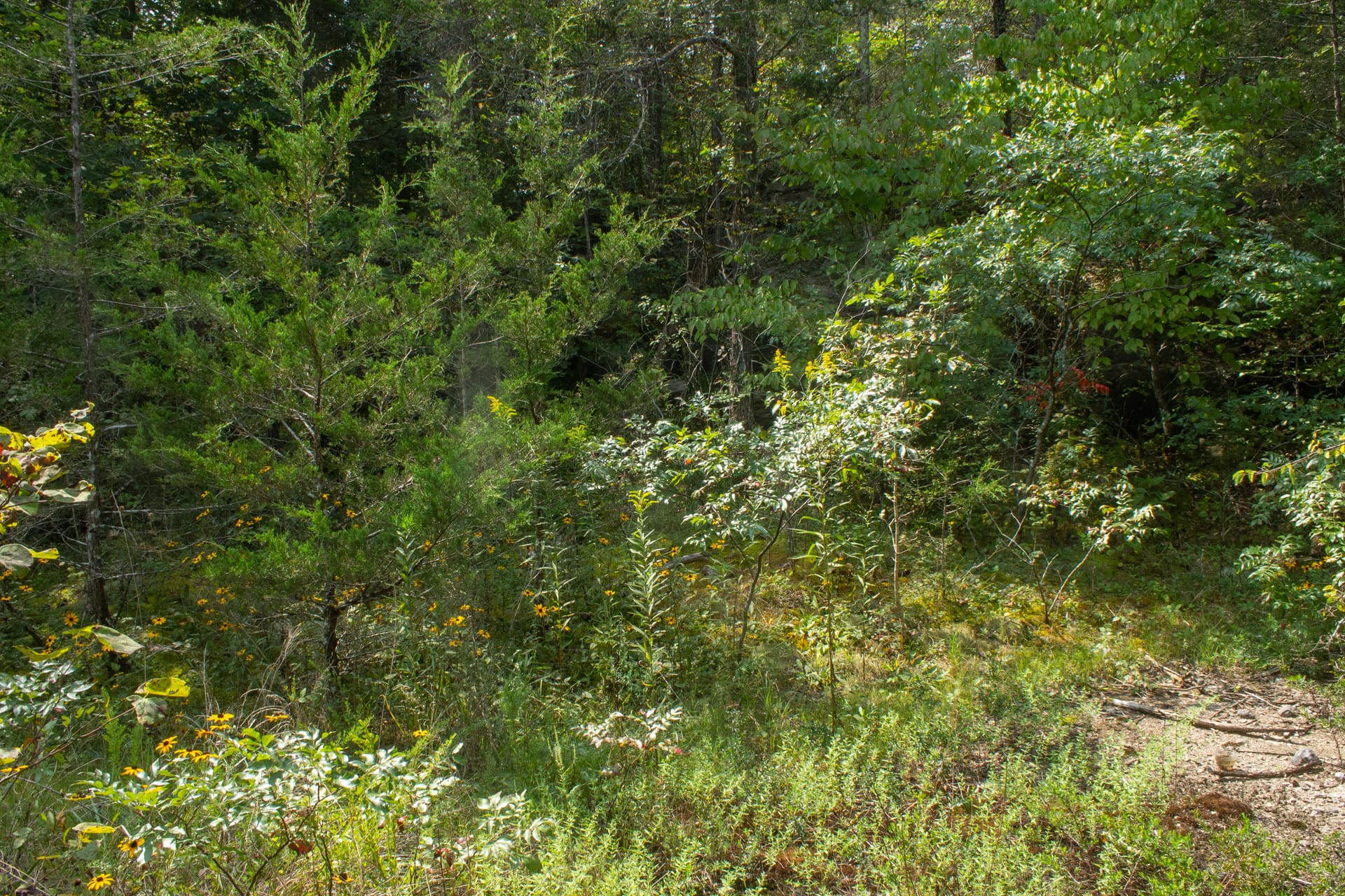 Bluegrass Ridge Tract 3 photo 12