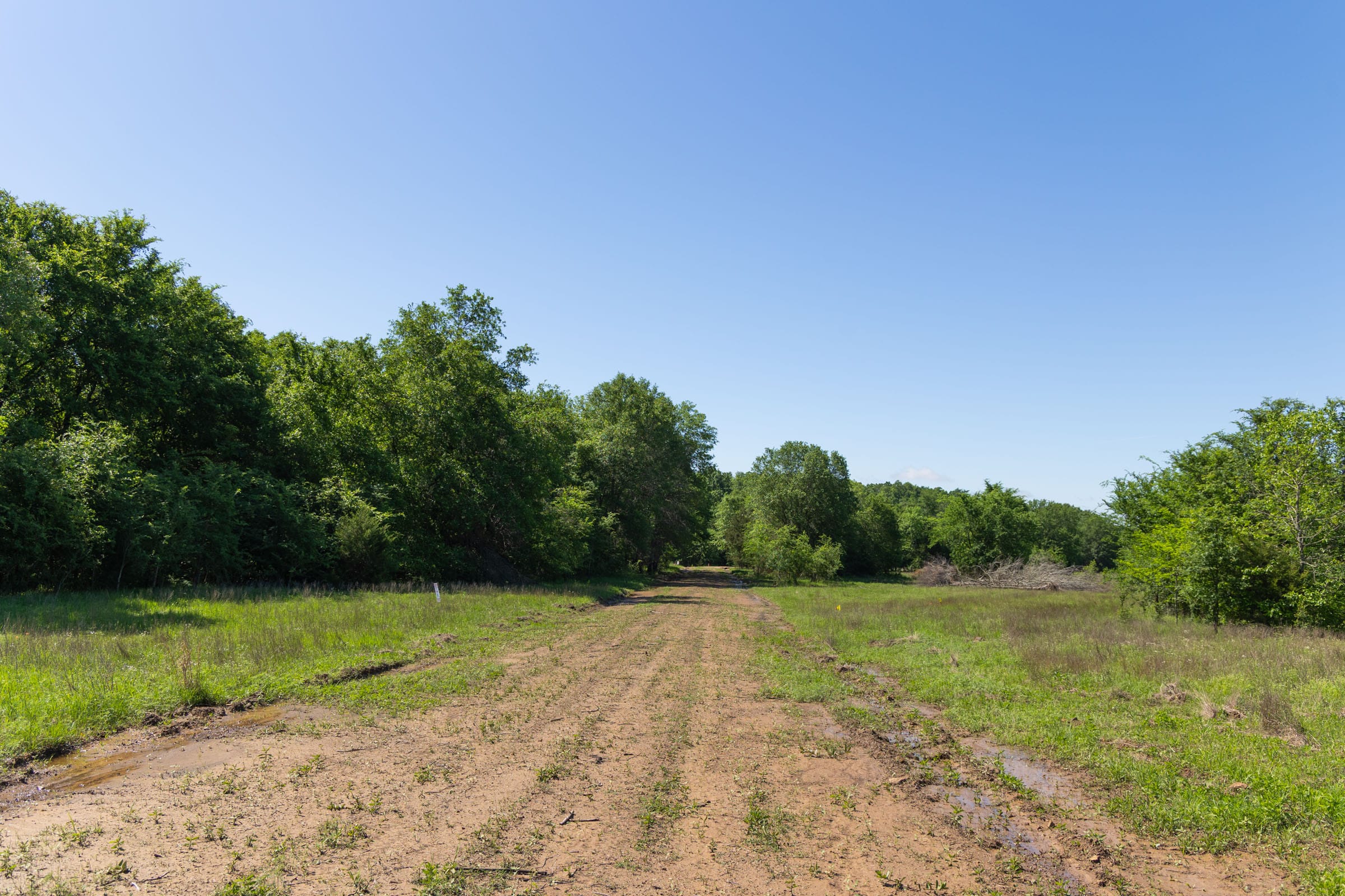Harmony Hills Tract 30 photo 6