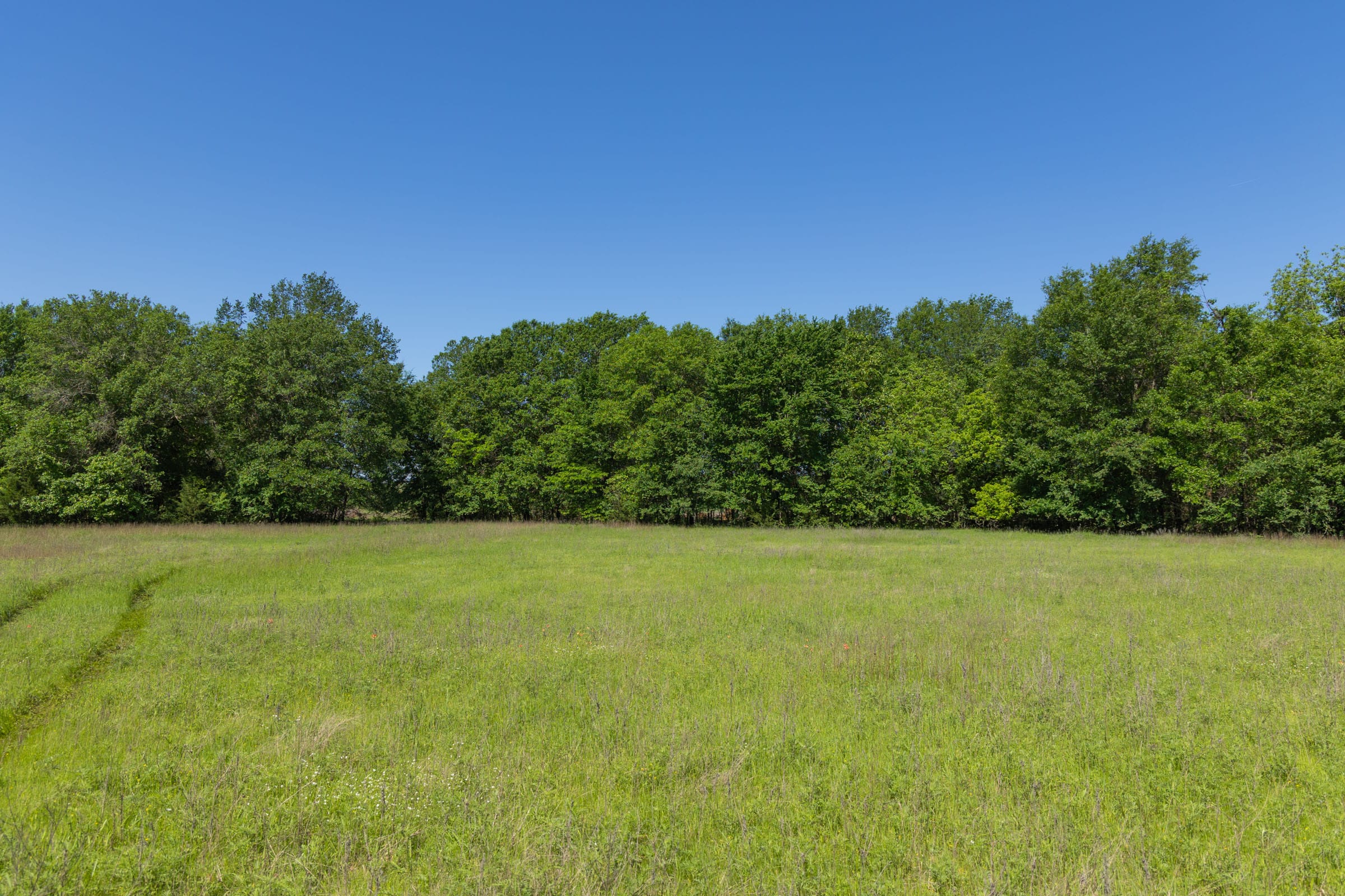 Harmony Hills Tract 30 photo 1