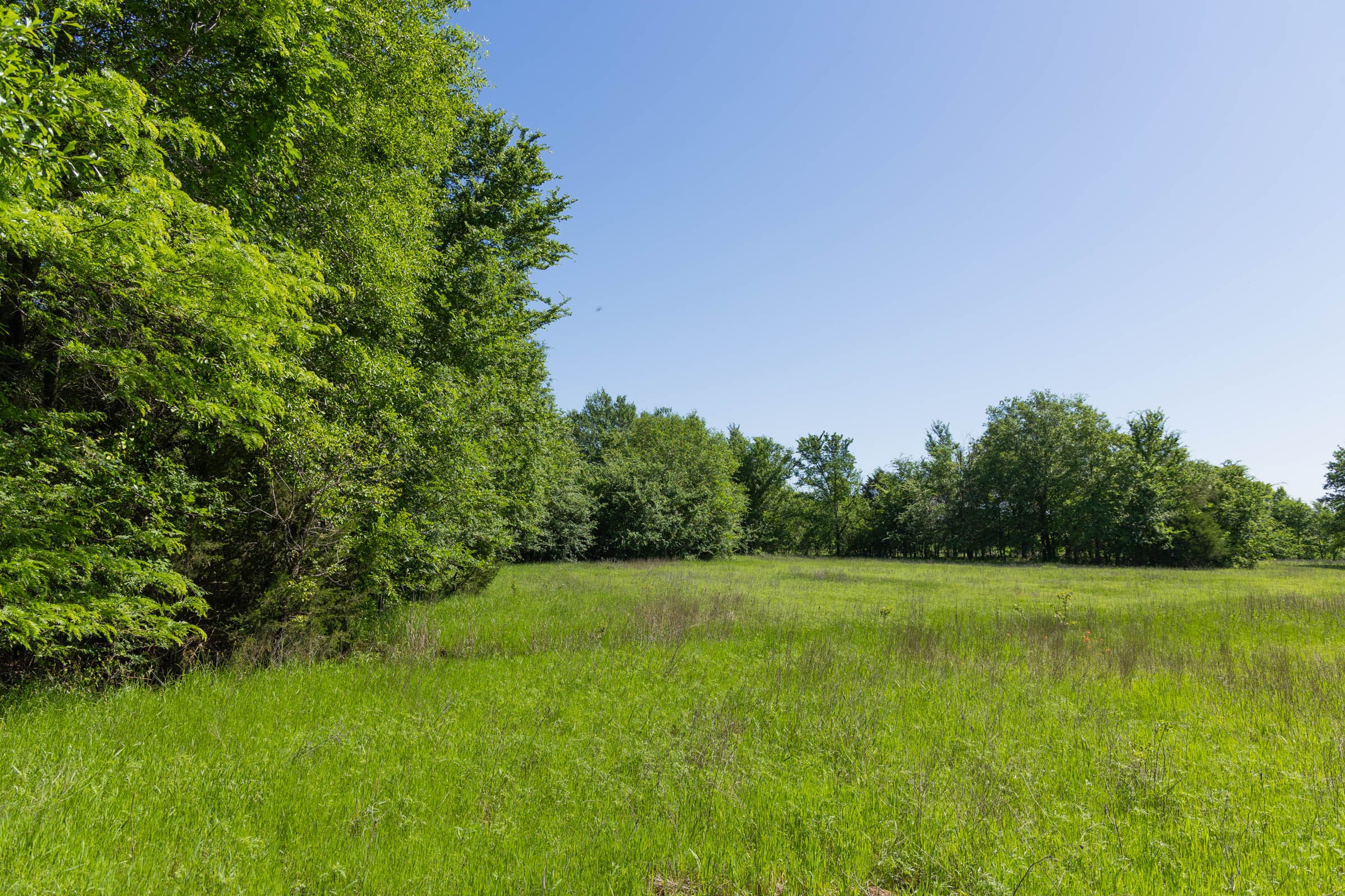 Harmony Hills Tract 30 photo 7