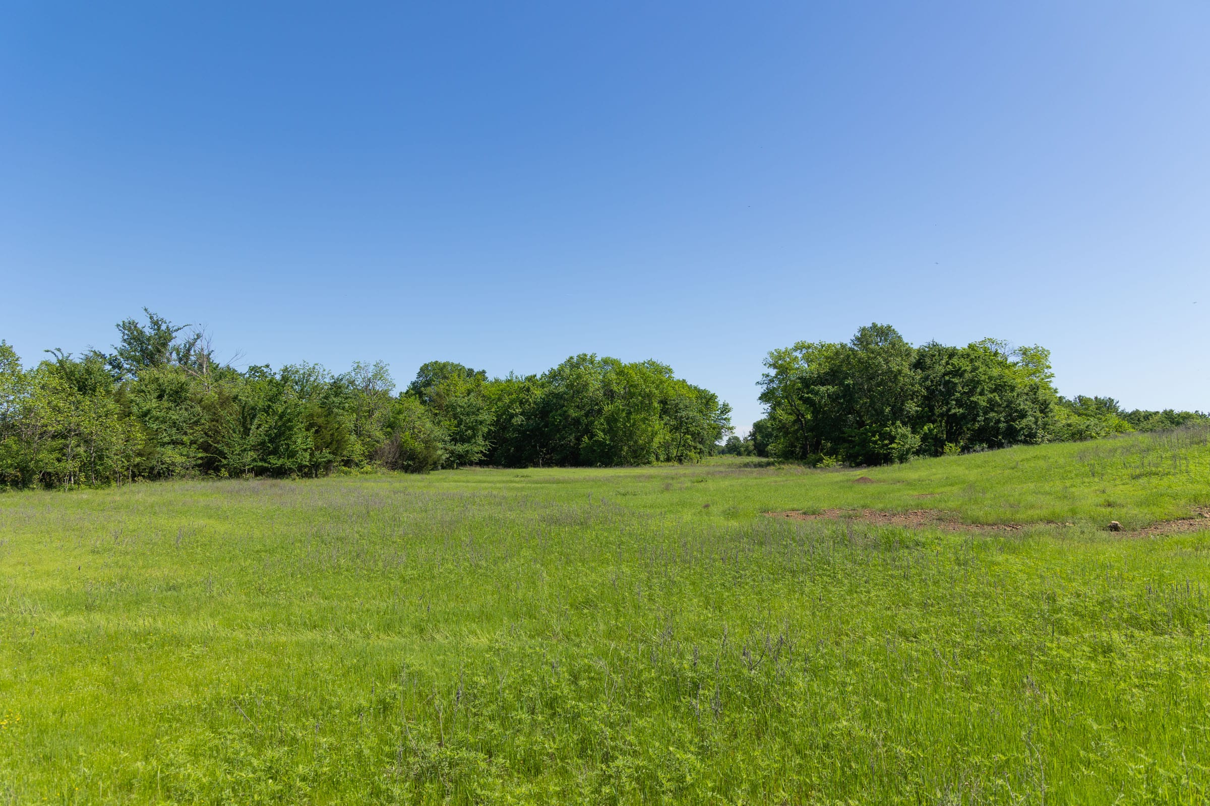 Harmony Hills Tract 30 photo 12
