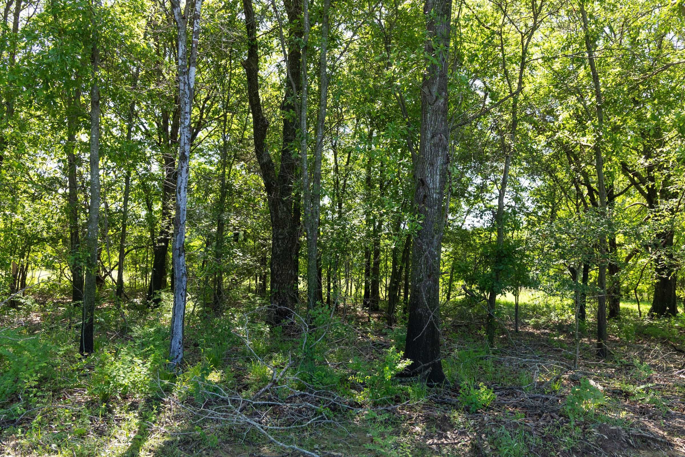 Harmony Hills Tract 30 photo 4