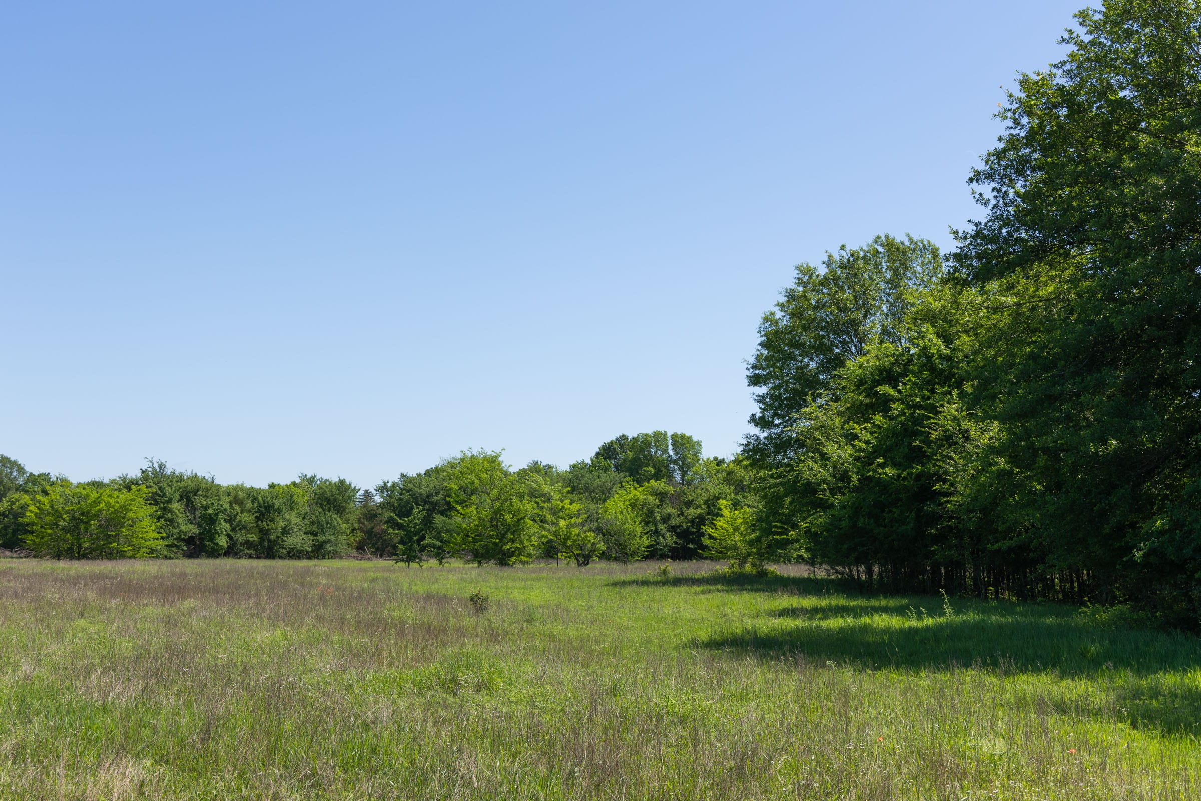 Harmony Hills Tract 30 photo 11