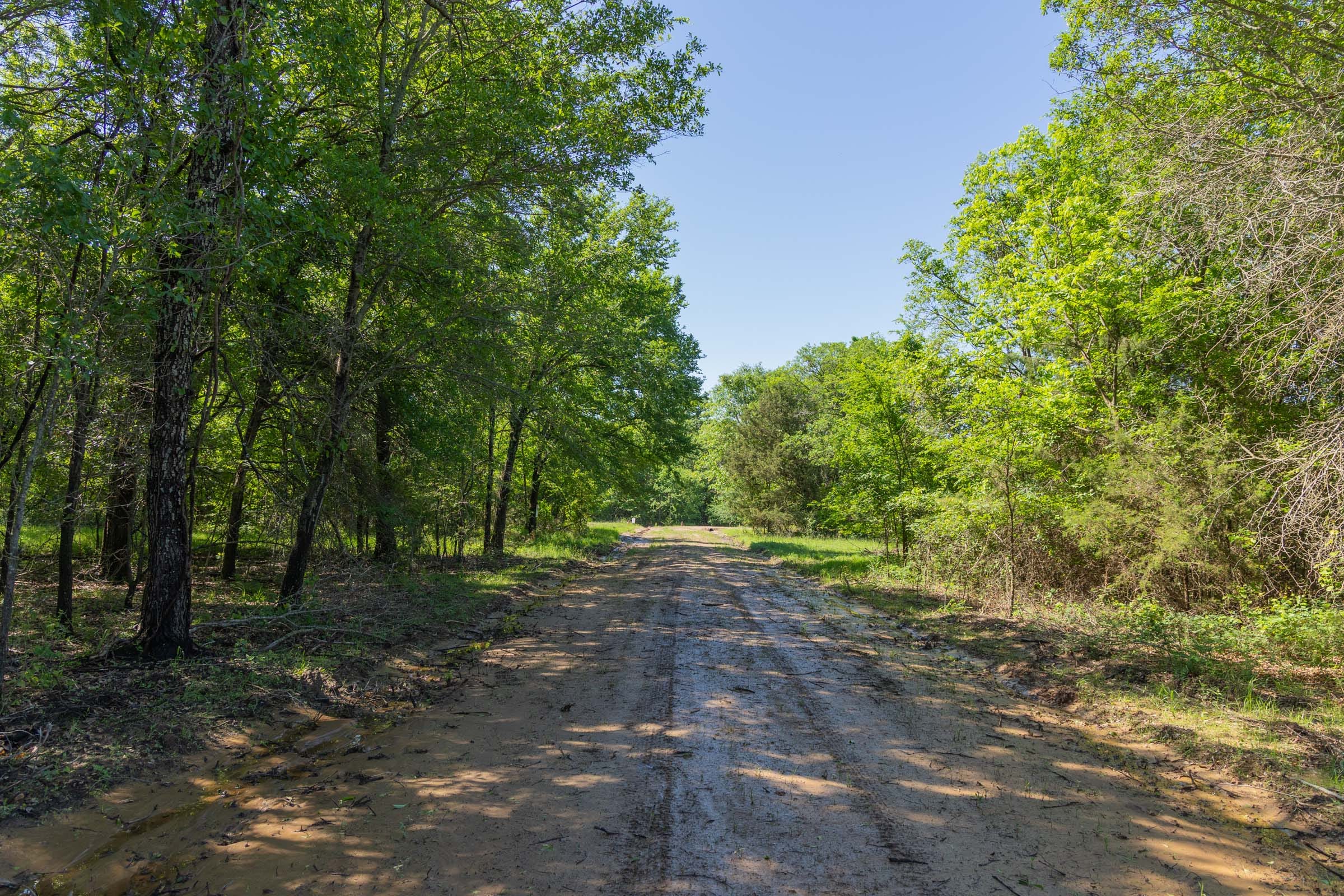 Harmony Hills Tract 30 photo 2
