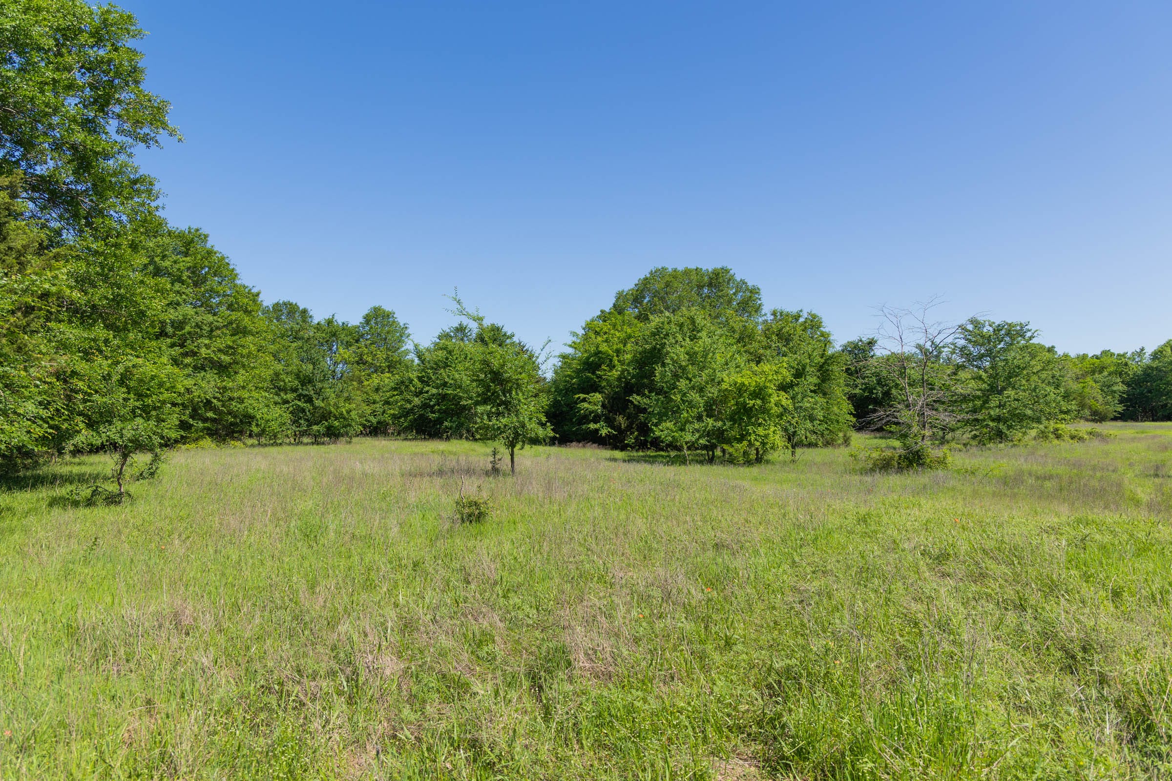 Harmony Hills Tract 30 photo 5