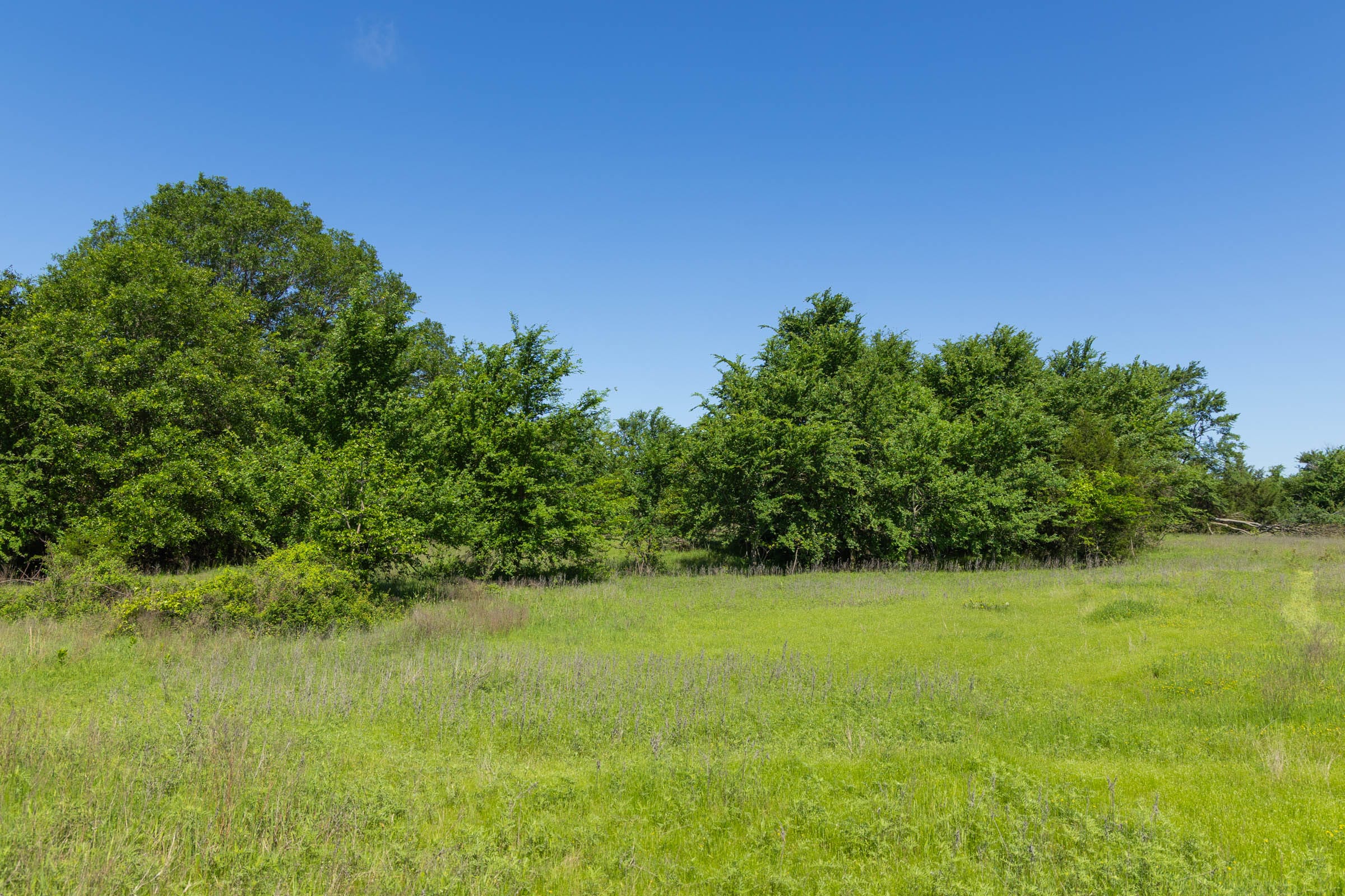 Harmony Hills Tract 30 photo 13