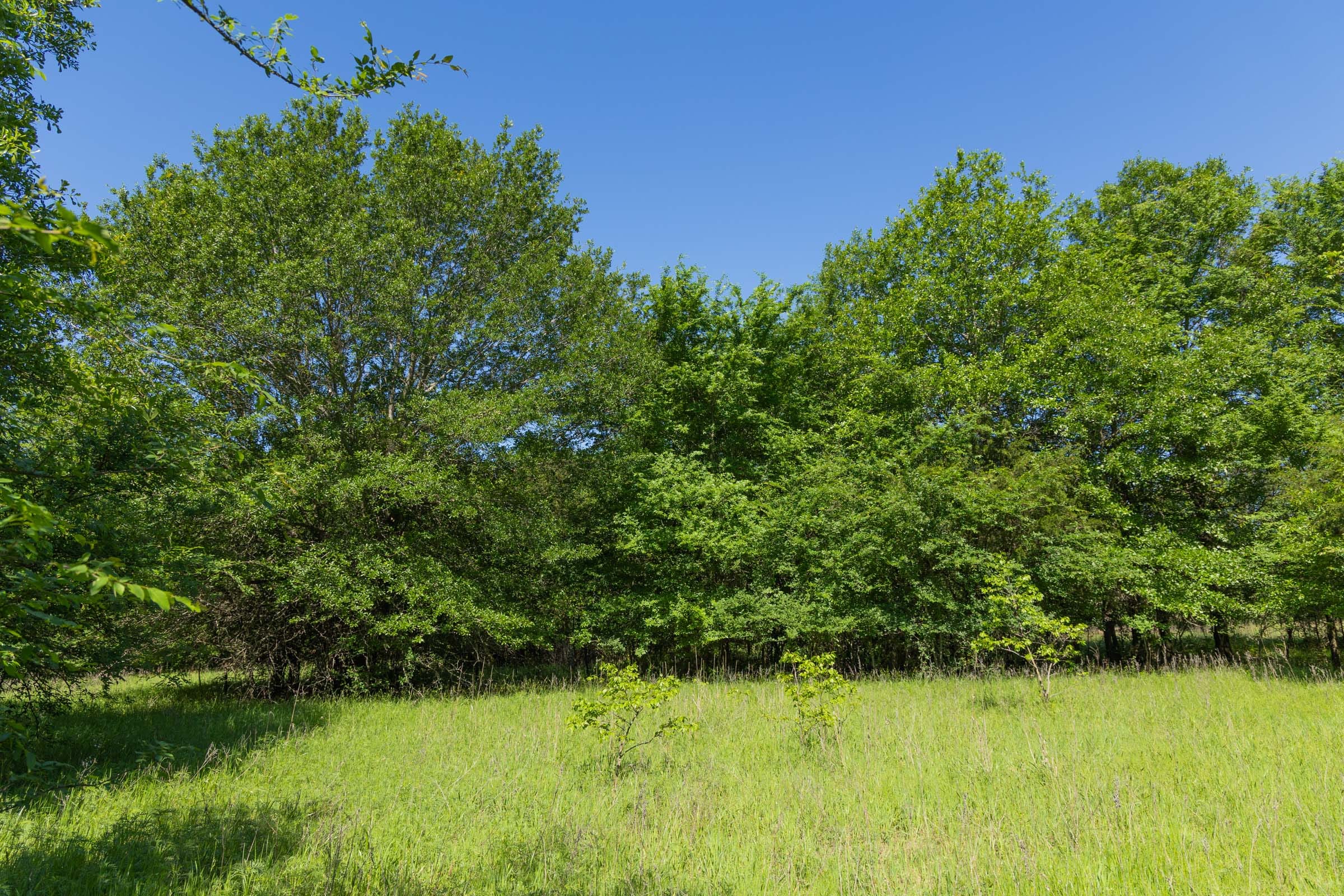 Harmony Hills Tract 30 photo 10