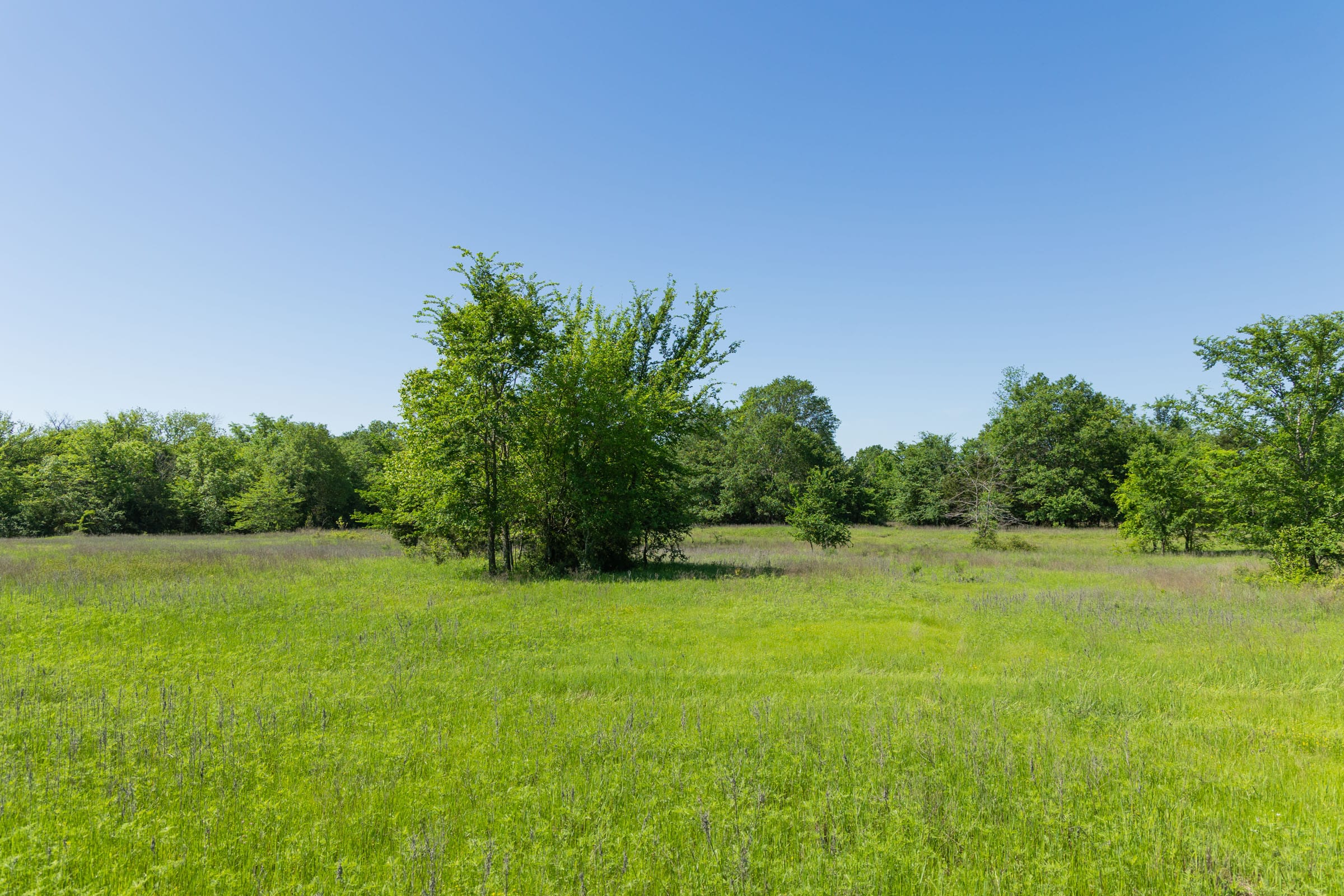 Harmony Hills Tract 30 photo 8