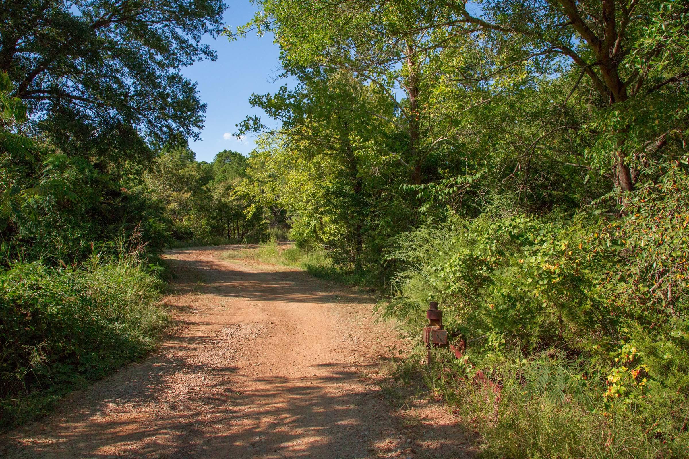 Stone Creek Phase II Tract 270 photo 4