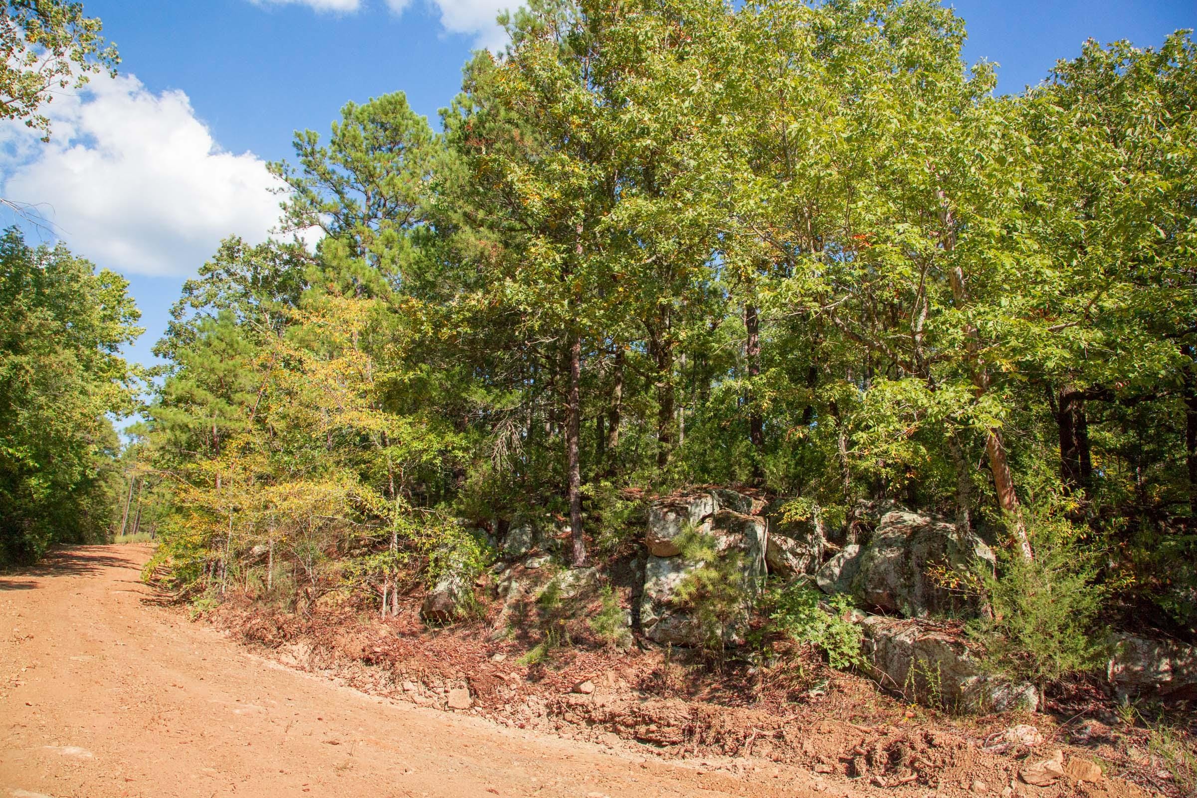 Stone Creek Phase II Tract 270 photo 21