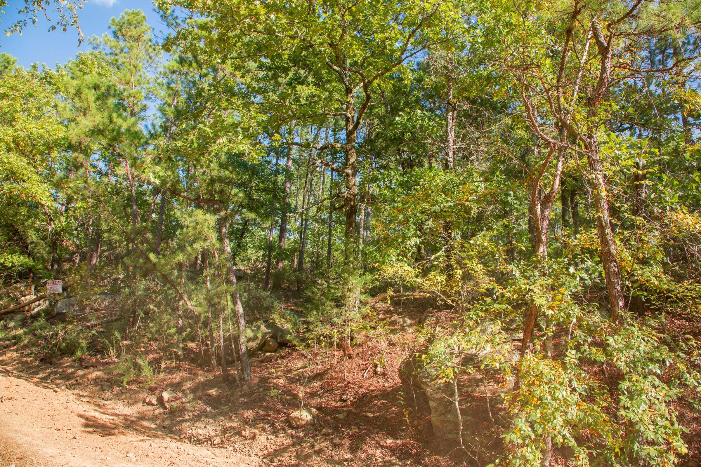 Stone Creek Phase II Tract 270 photo 11
