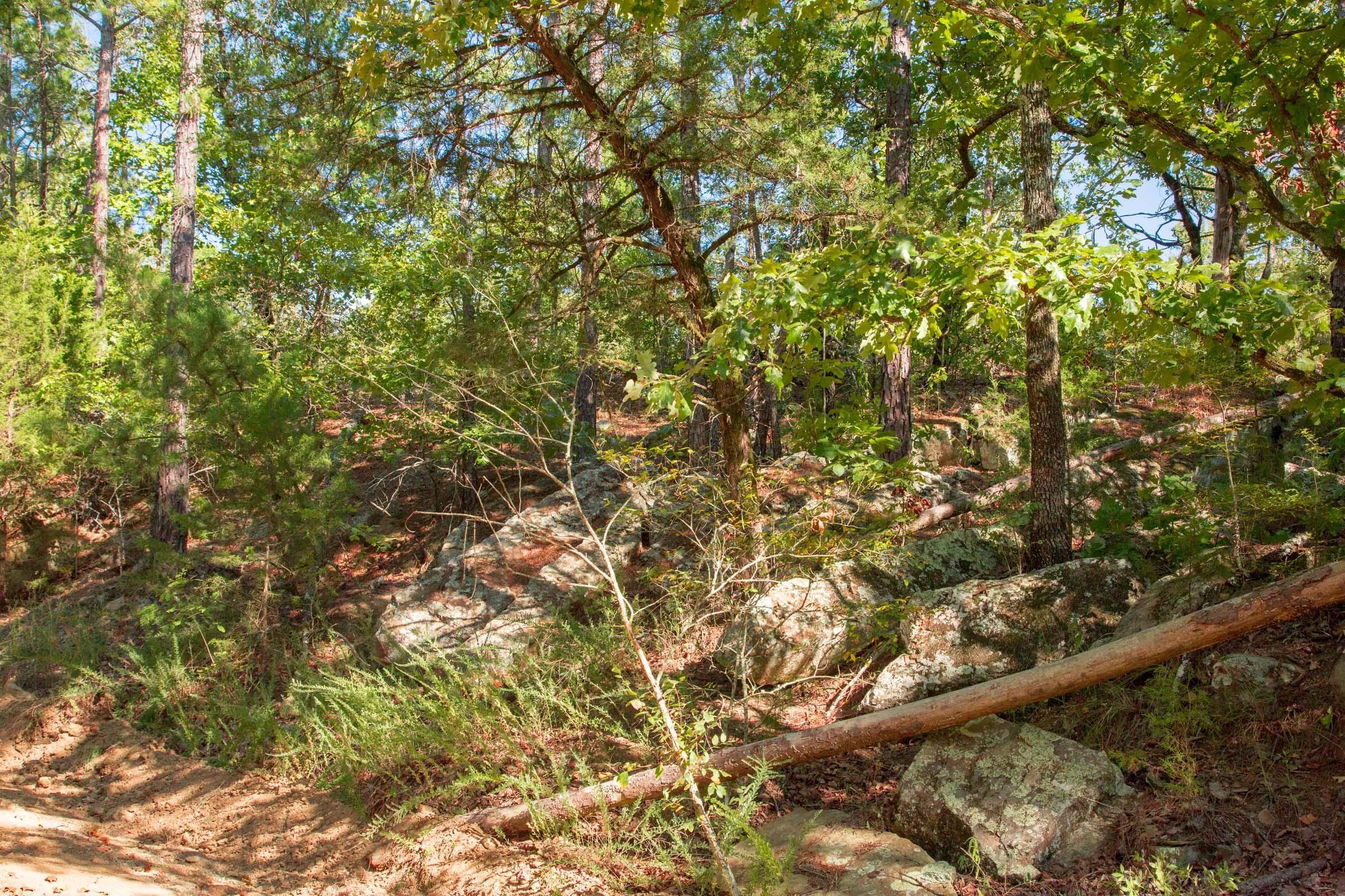 Stone Creek Phase II Tract 270 photo 7