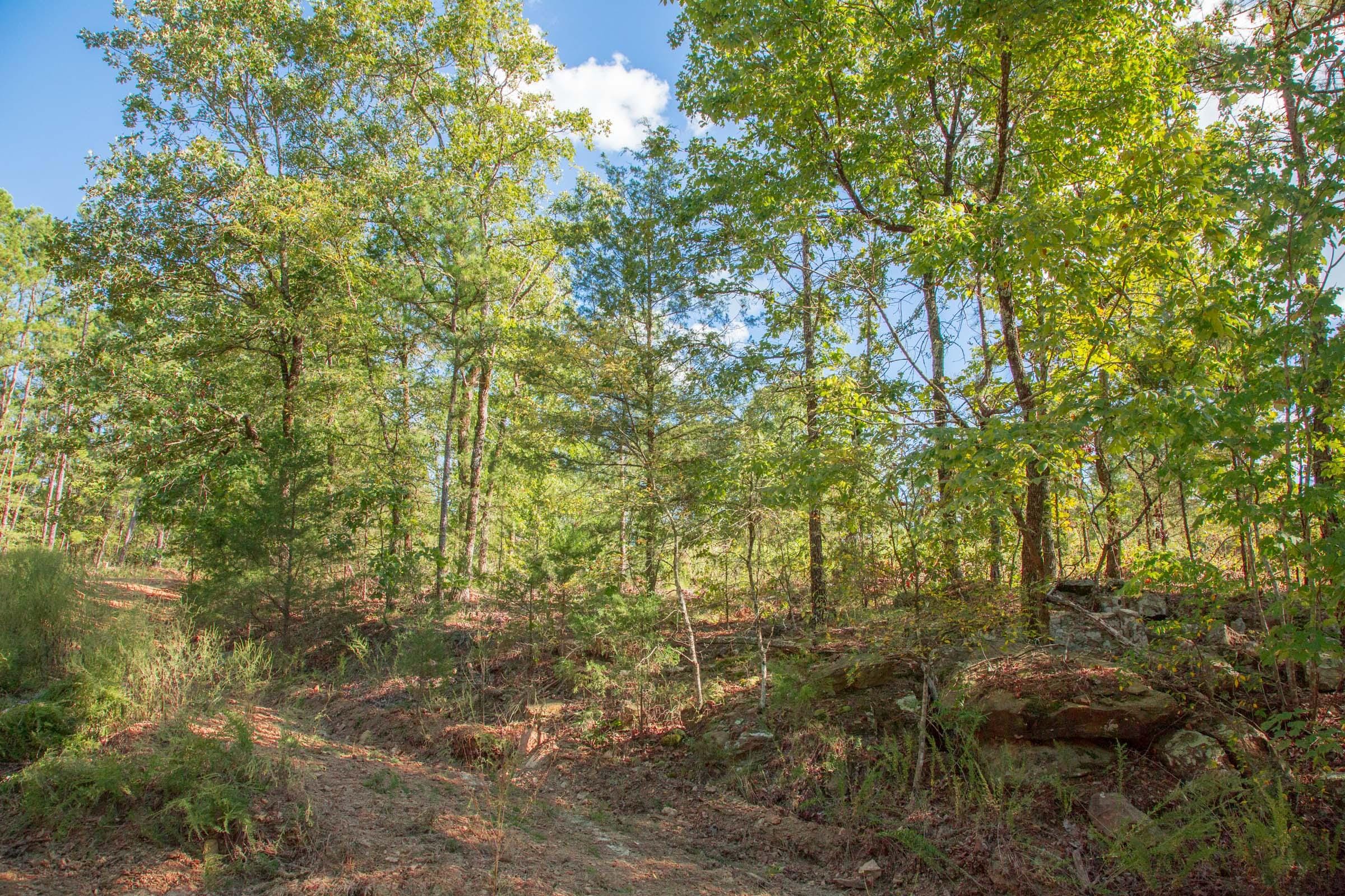 Stone Creek Phase II Tract 270 photo 3