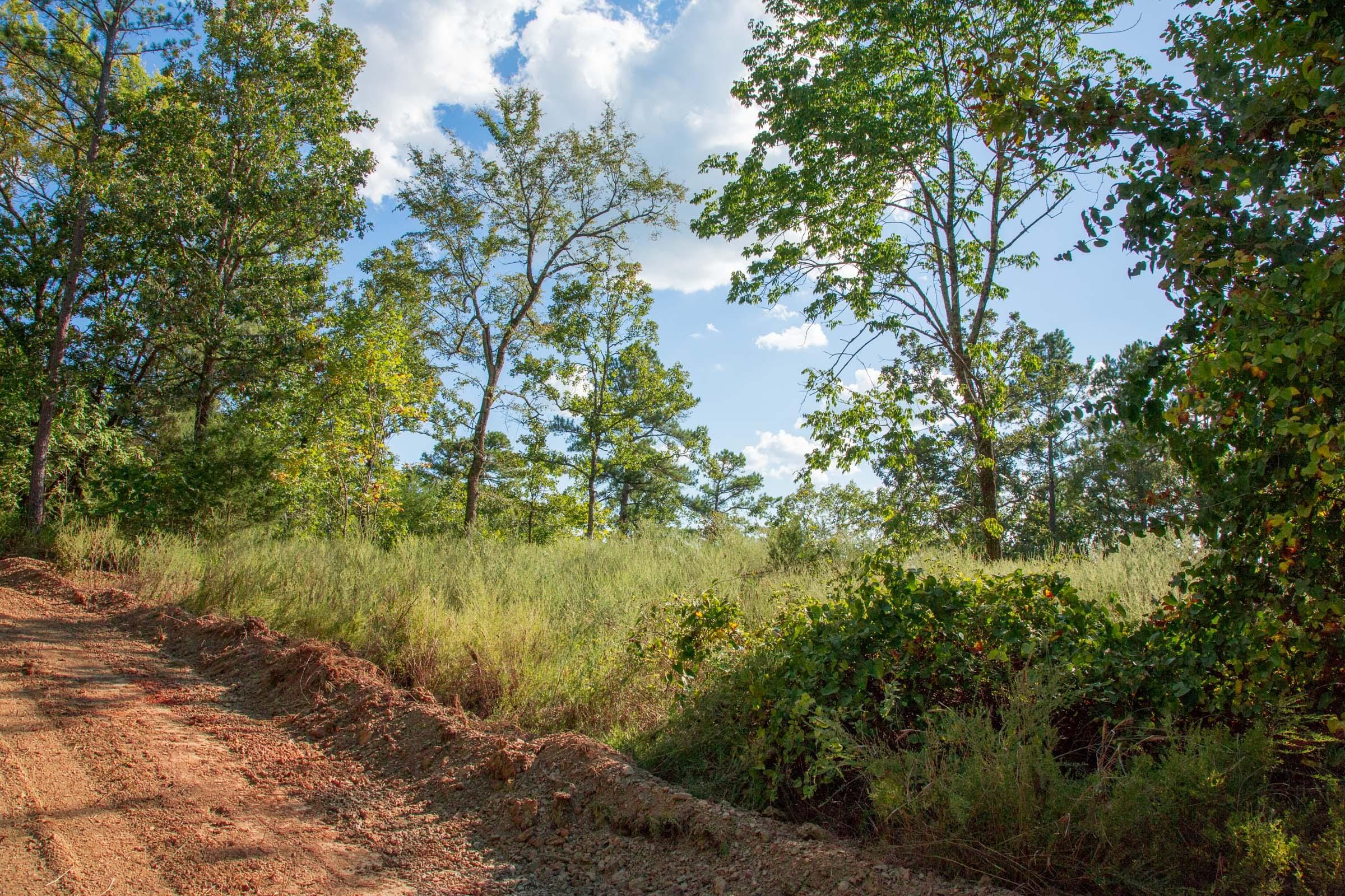 Stone Creek Phase II Tract 270 photo 13