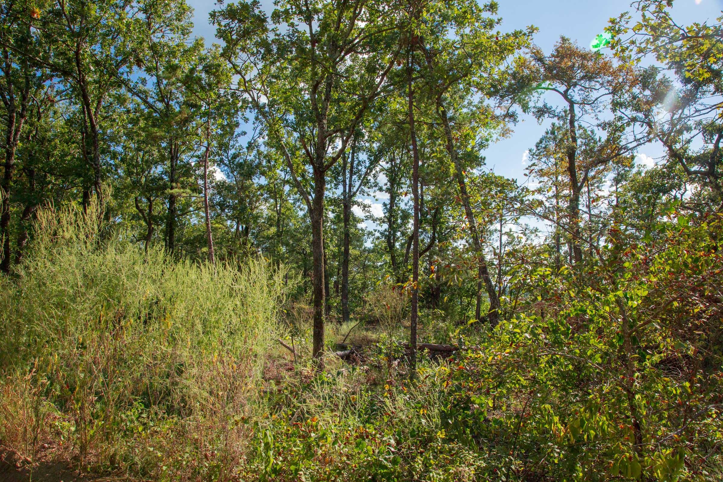 Stone Creek Phase II Tract 270 photo 15