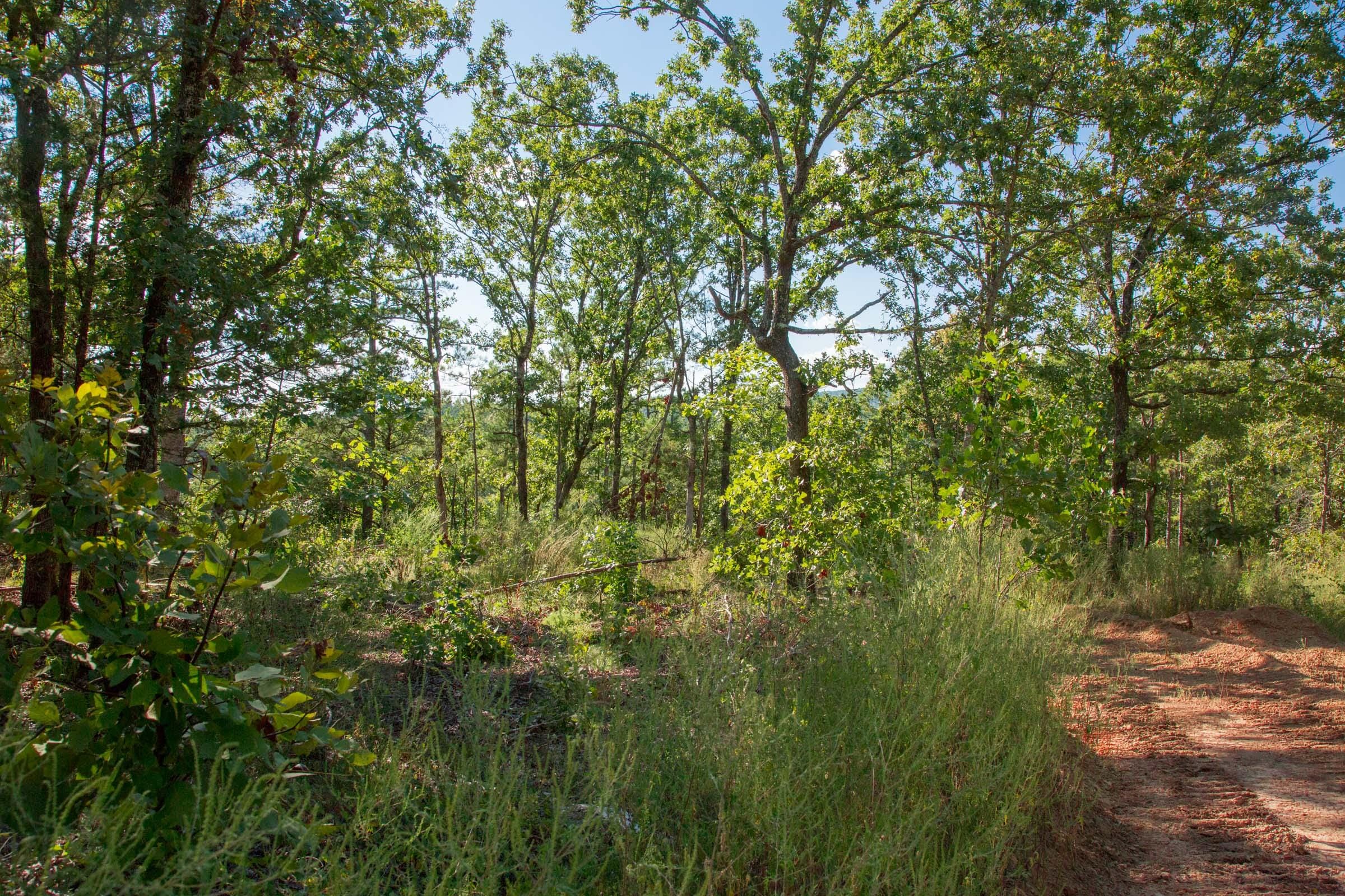 Stone Creek Phase II Tract 270 photo 16