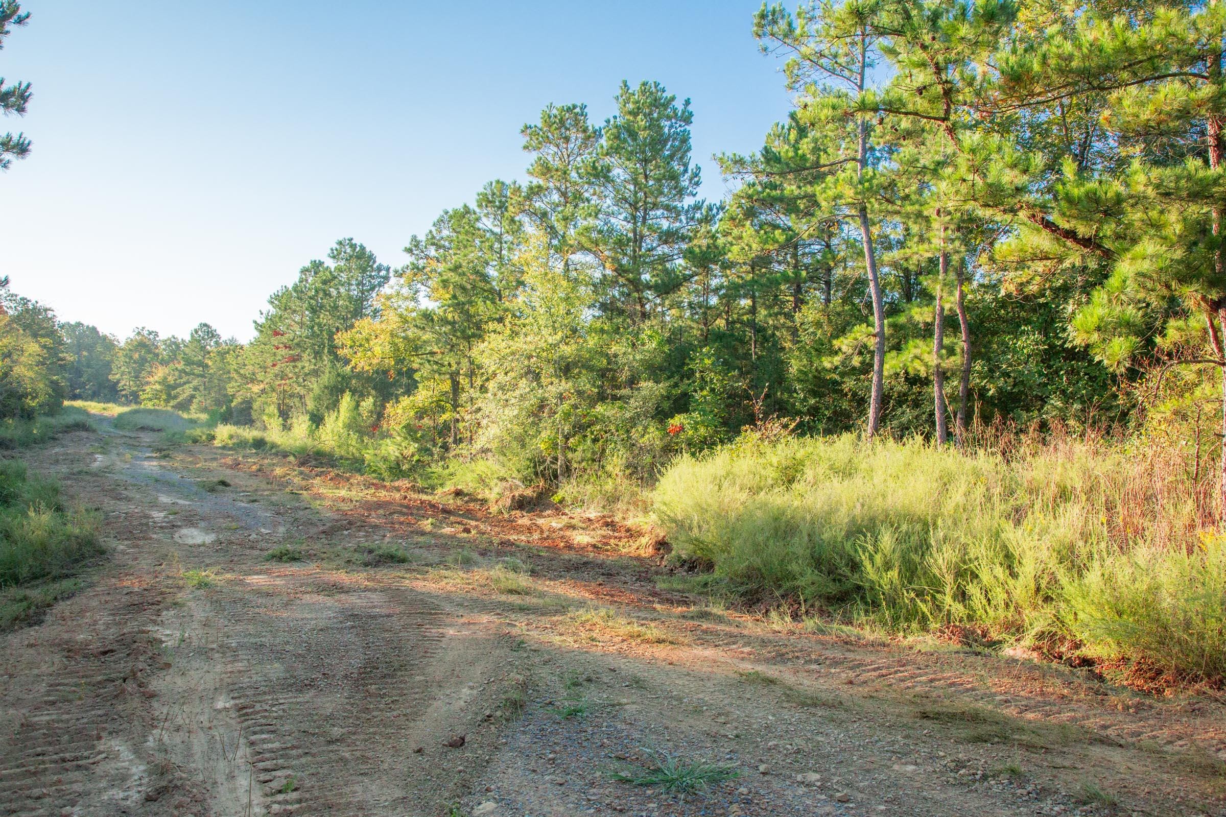 Stone Creek Phase II Tract 270 photo 18