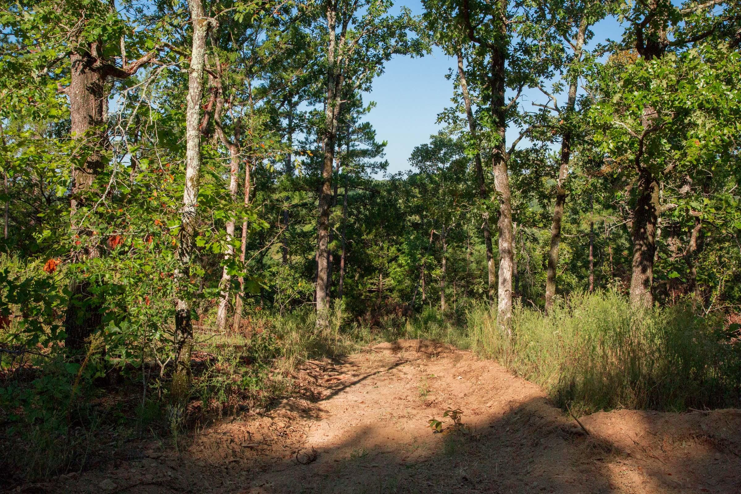 Stone Creek Phase II Tract 270 photo 20
