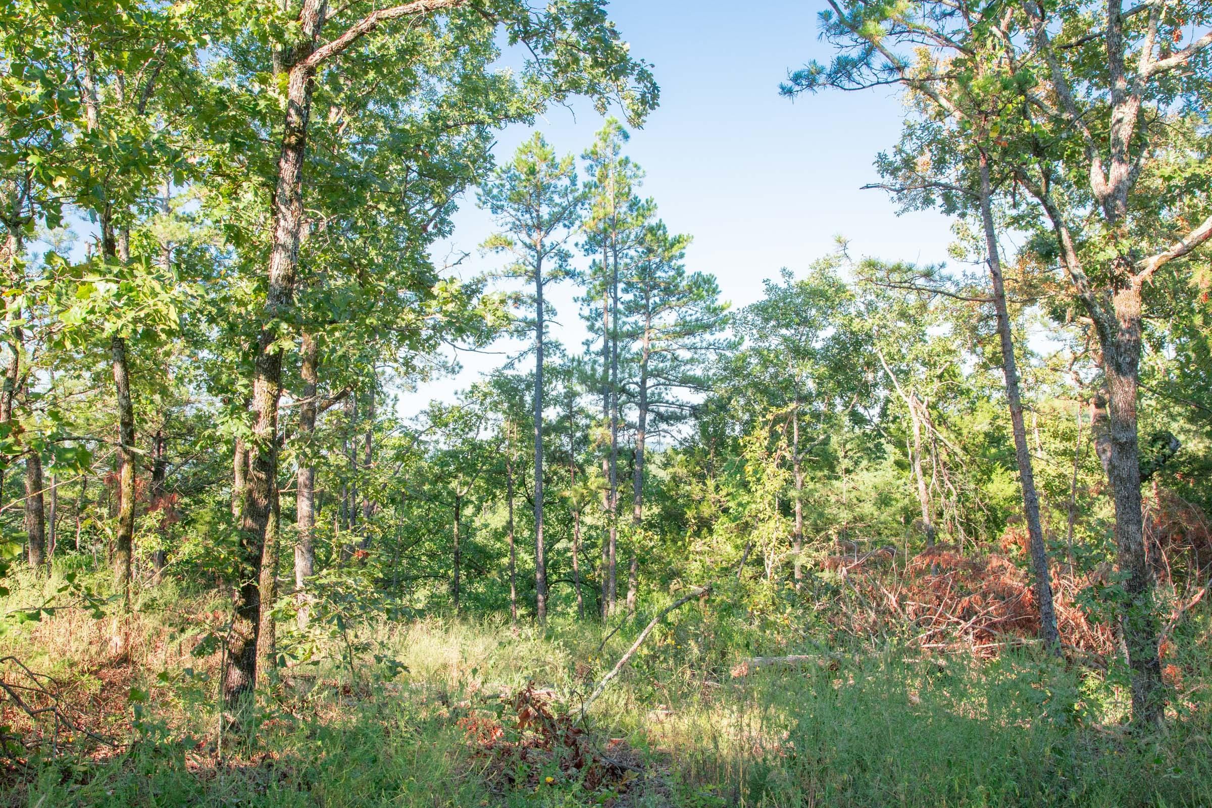 Stone Creek Phase II Tract 270 photo 5