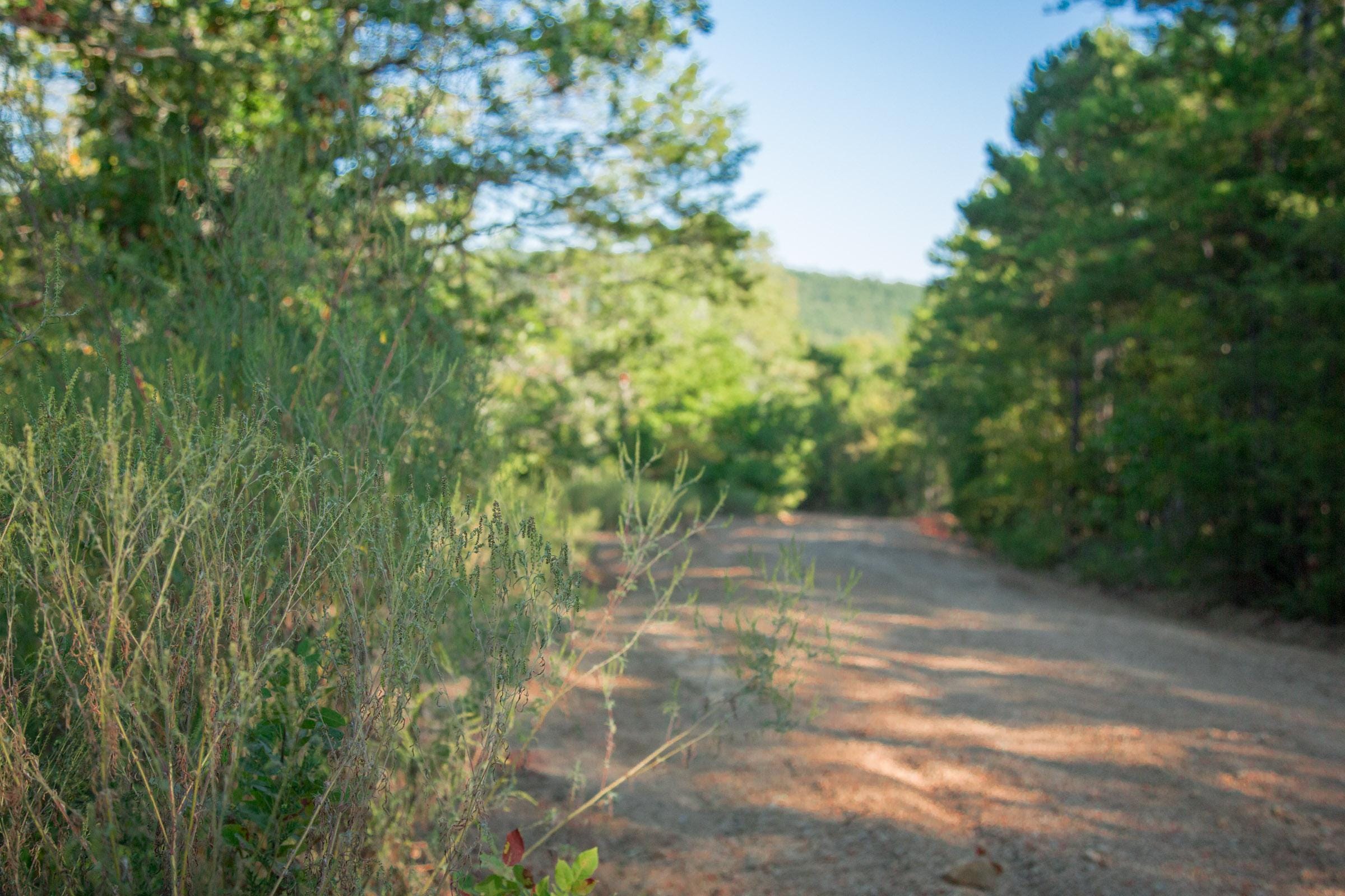 Stone Creek Phase II Tract 270 photo 22