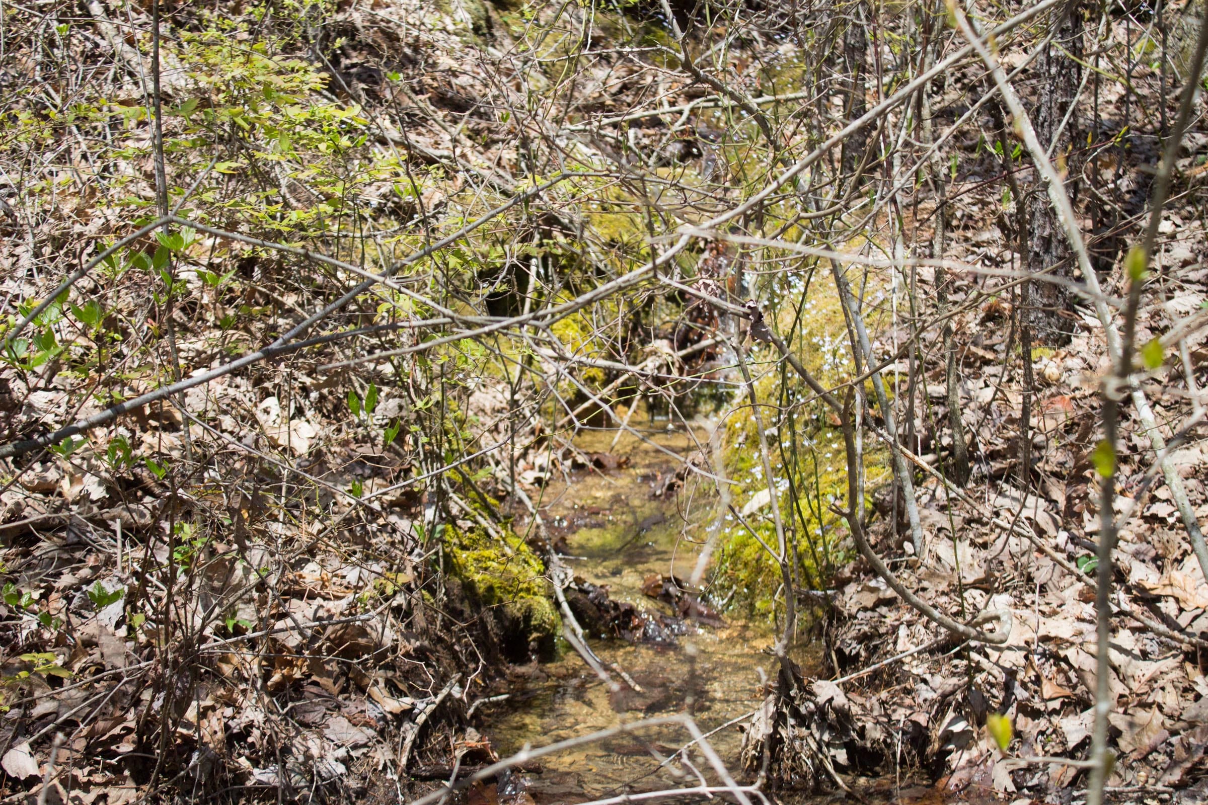 Hidden Hills Tract 7 photo 3