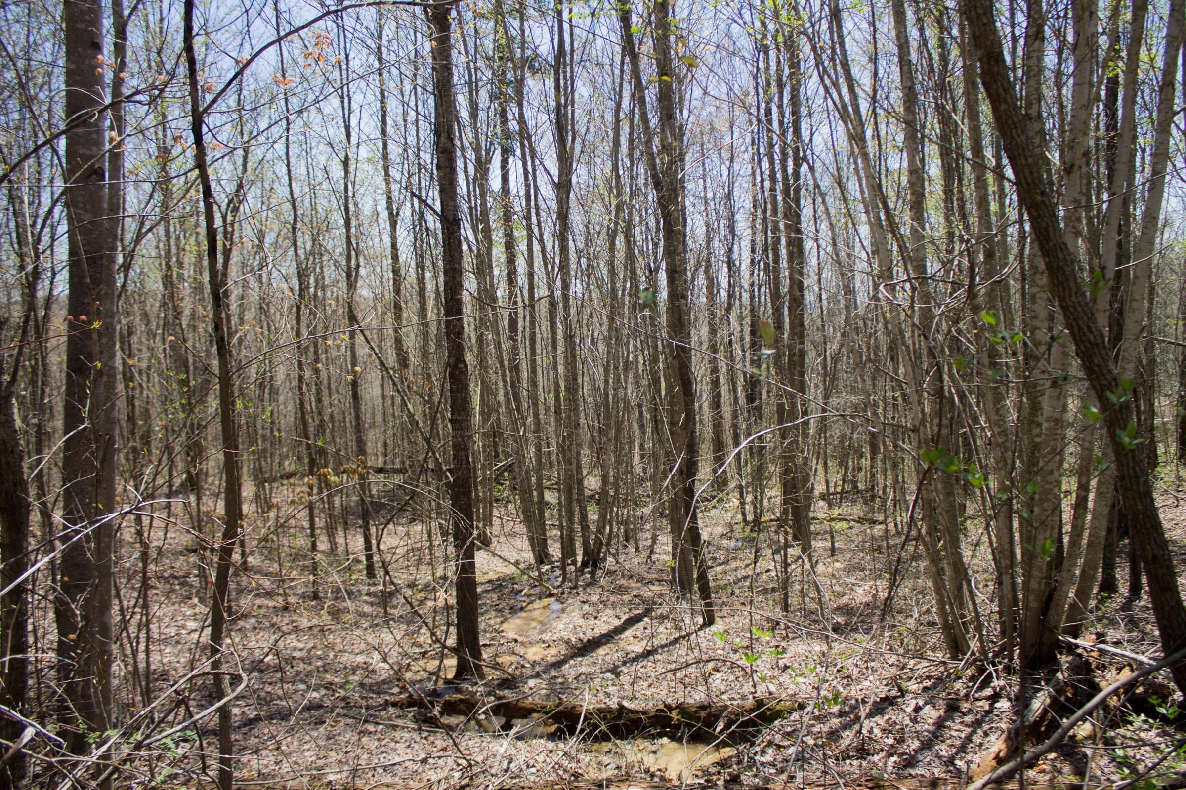 Hidden Hills Tract 7 photo 4