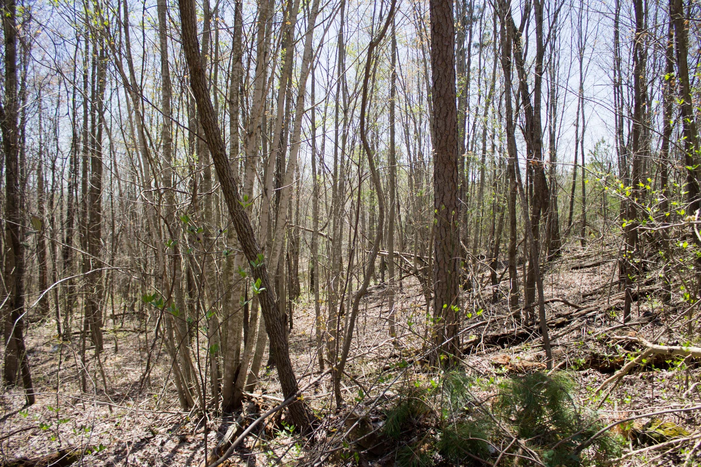 Hidden Hills Tract 7 photo 5
