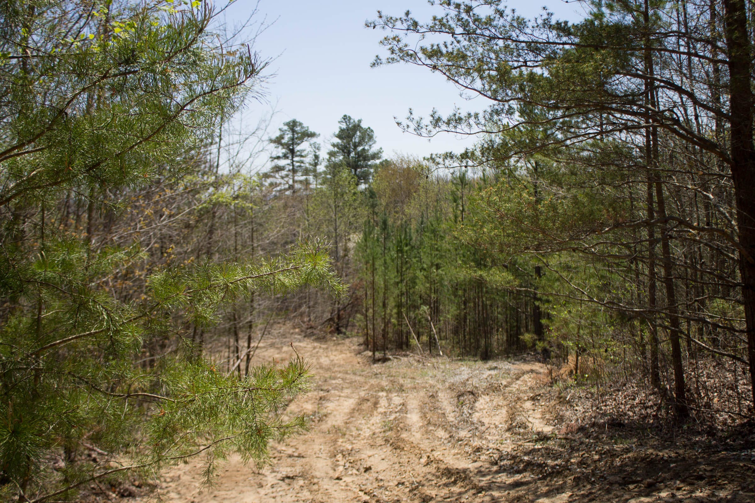 Hidden Hills Tract 7 photo 2