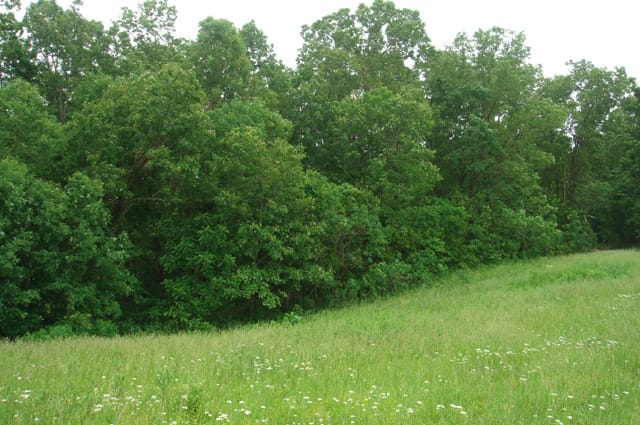 Whispering Oaks Tract 14 photo 1