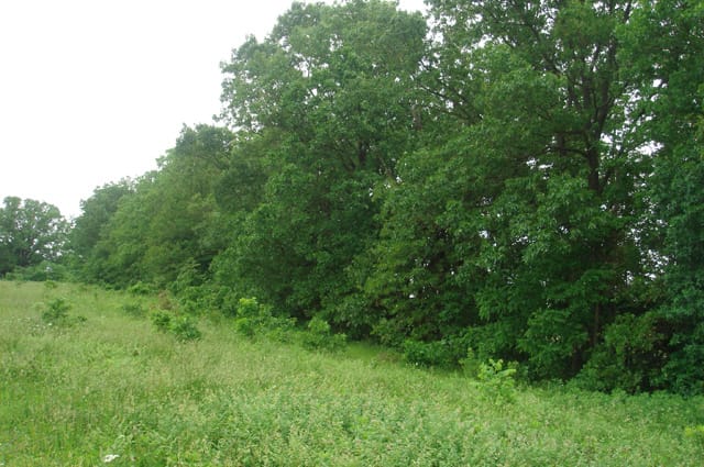 Whispering Oaks Tract 14 photo 2