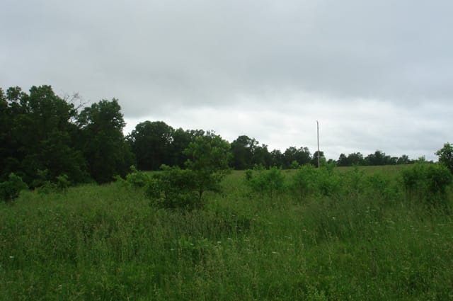 Whispering Oaks Tract 14 photo 4