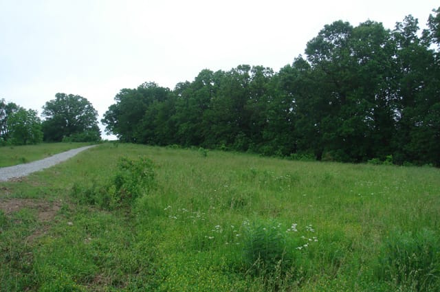 Whispering Oaks Tract 14 photo 5