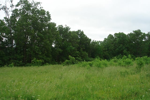 Whispering Oaks Tract 14 photo 6