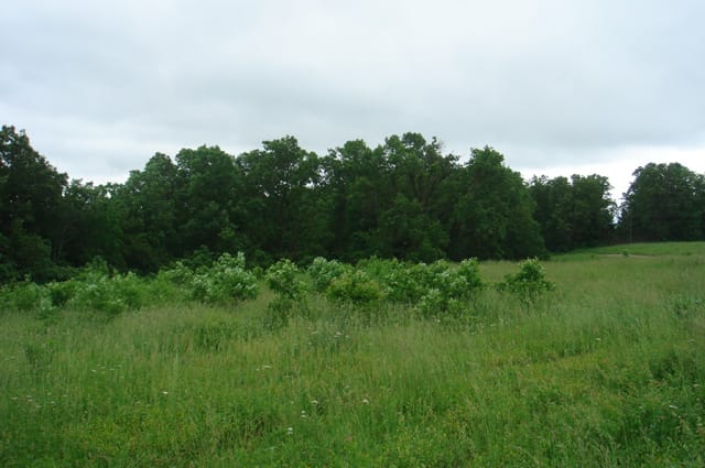 Whispering Oaks Tract 14 photo 7