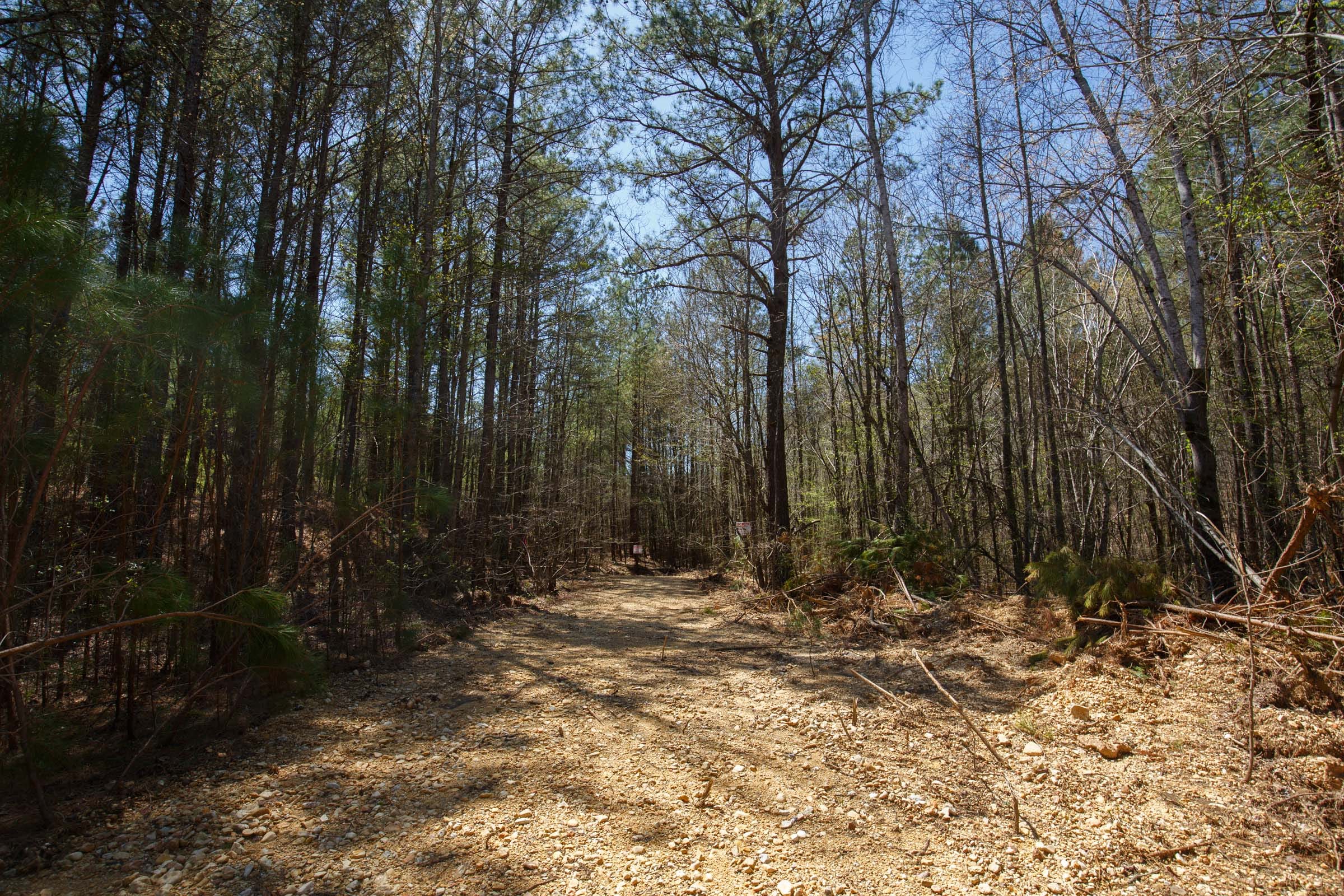 Southern Hills Tract 18 photo 7