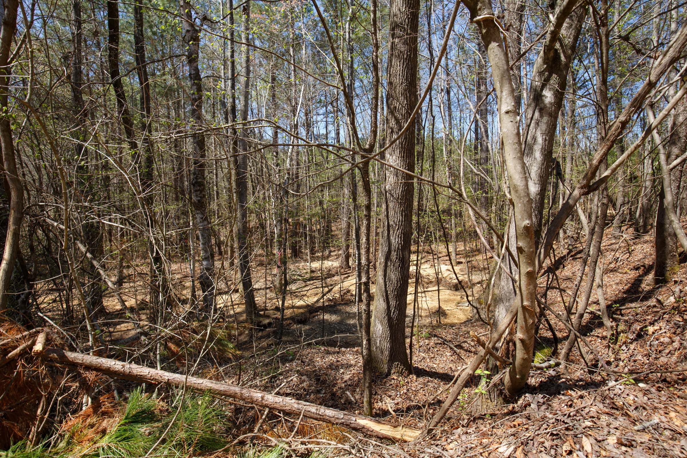Southern Hills Tract 18 photo 3