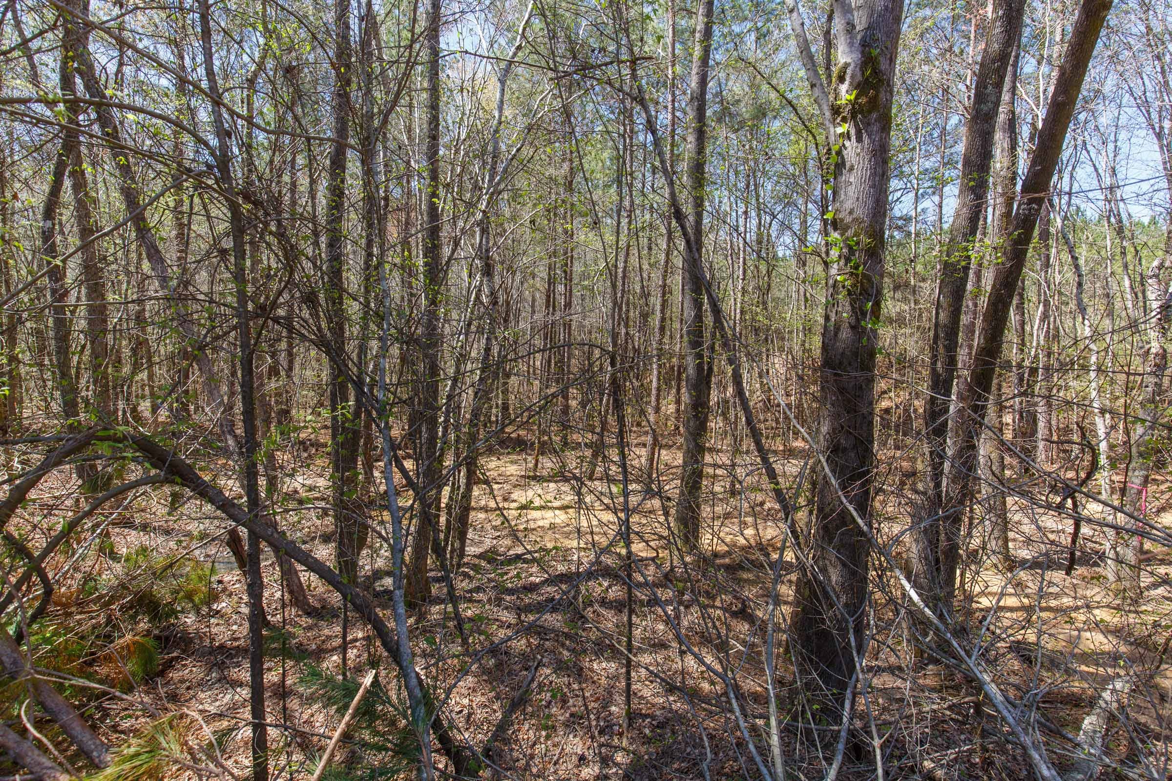 Southern Hills Tract 18 photo 4