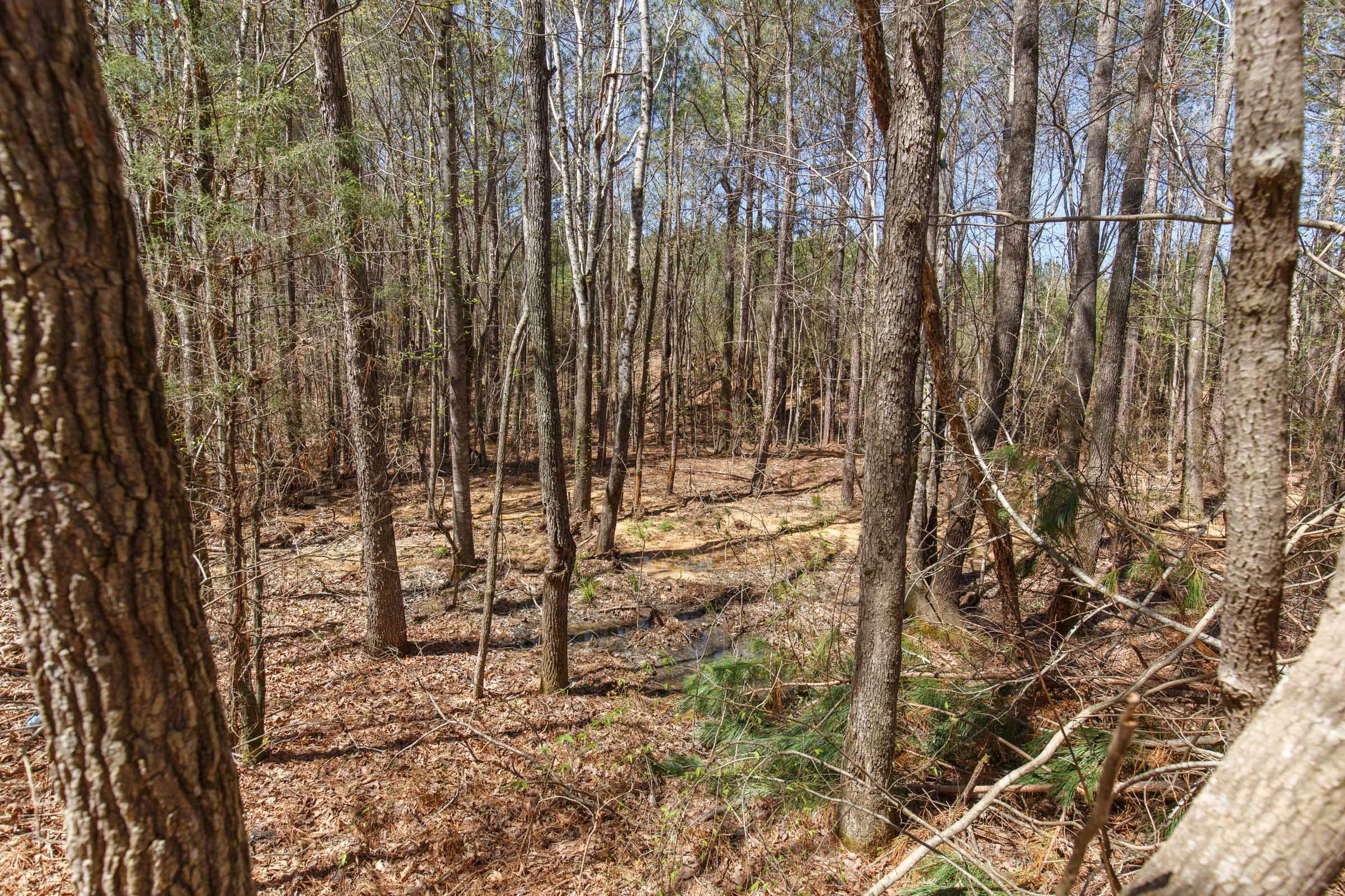 Southern Hills Tract 18 photo 5