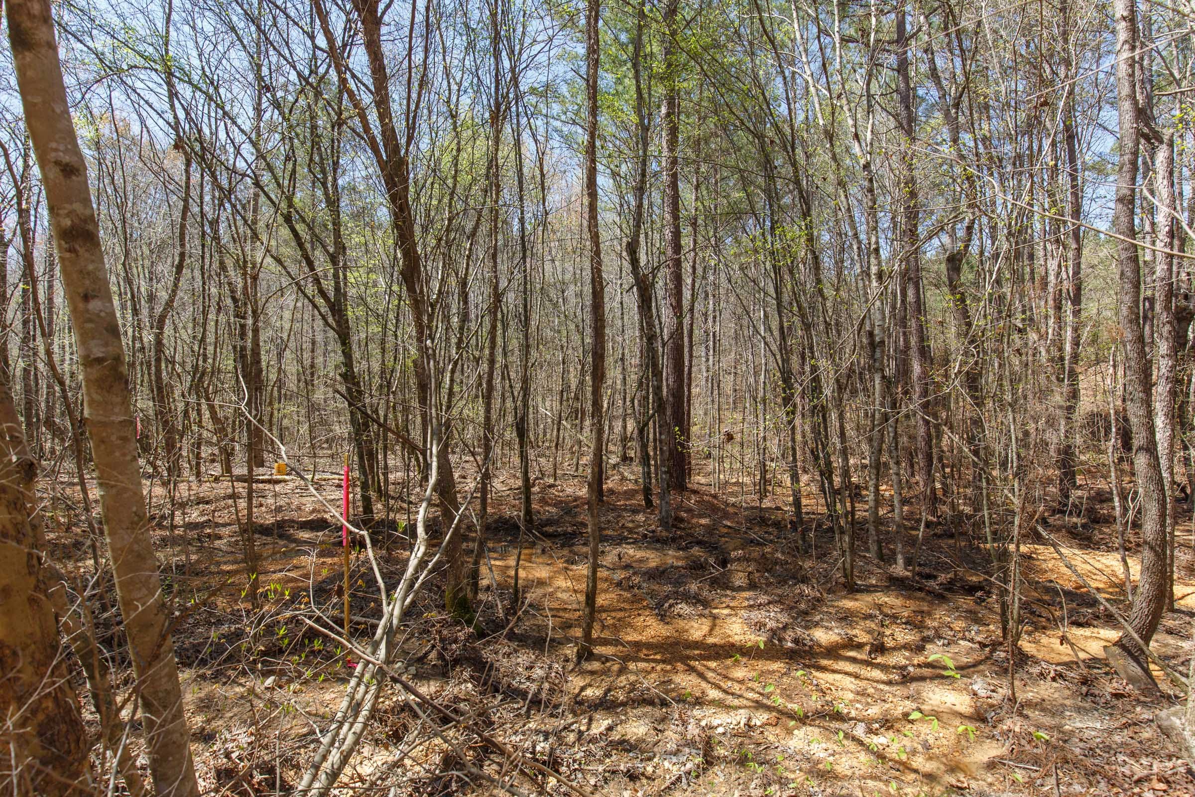 Southern Hills Tract 18 photo 6