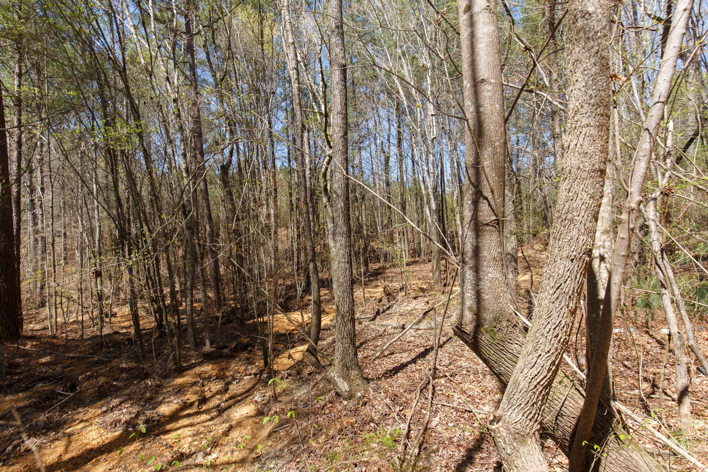 Southern Hills Tract 18 photo 8