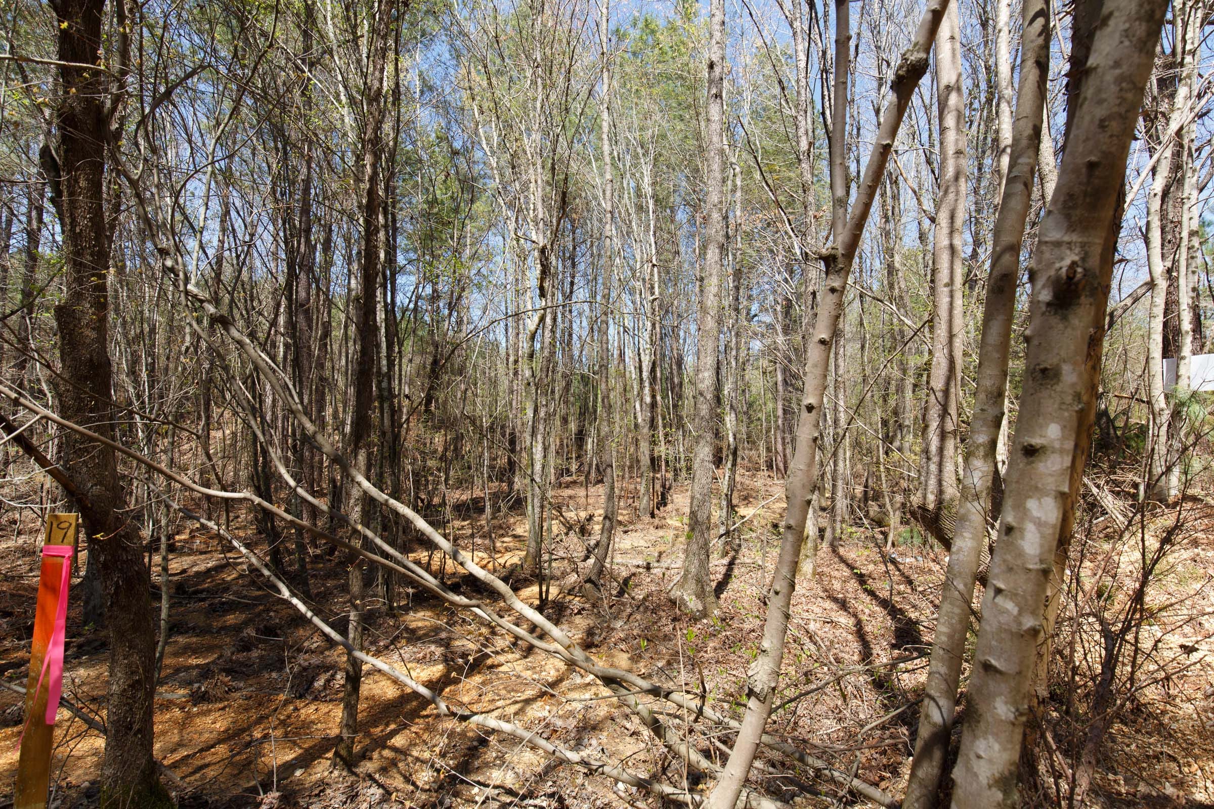 Southern Hills Tract 18 photo 9