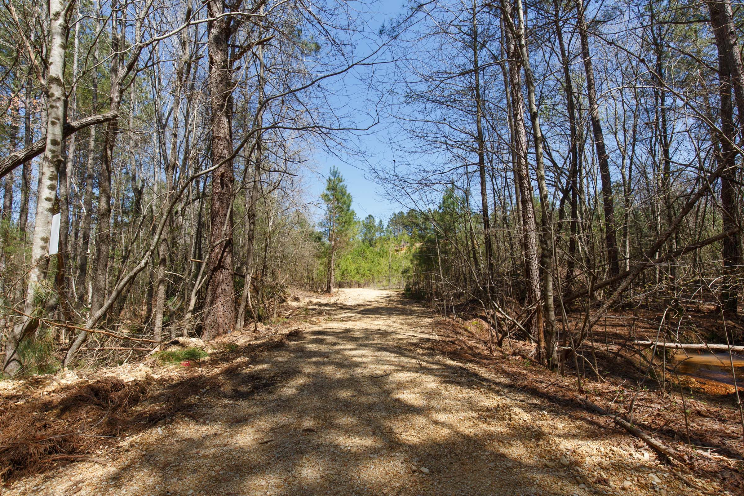 Southern Hills Tract 18 photo 2